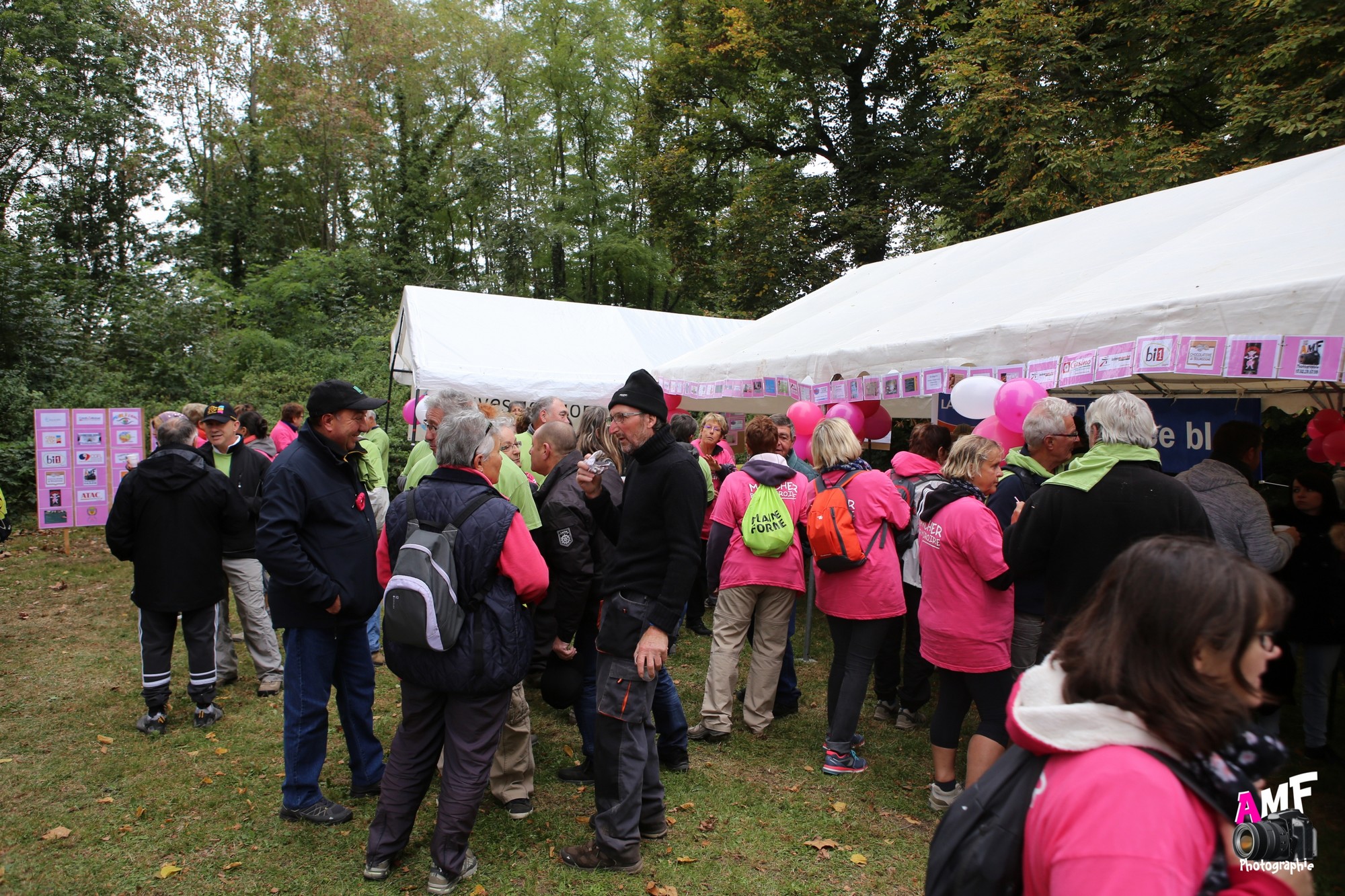 Rose Espoir 480
