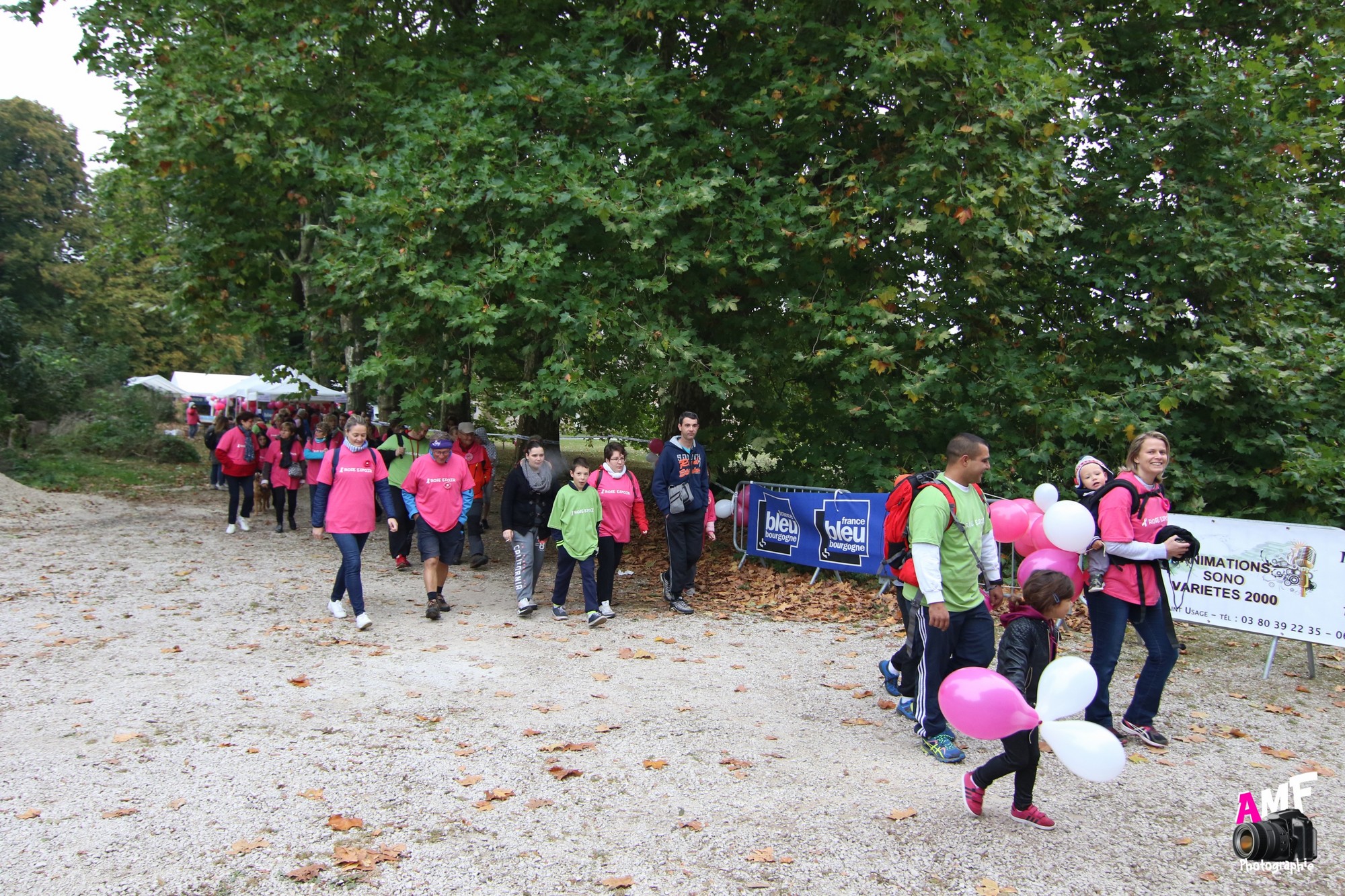 Rose Espoir 198