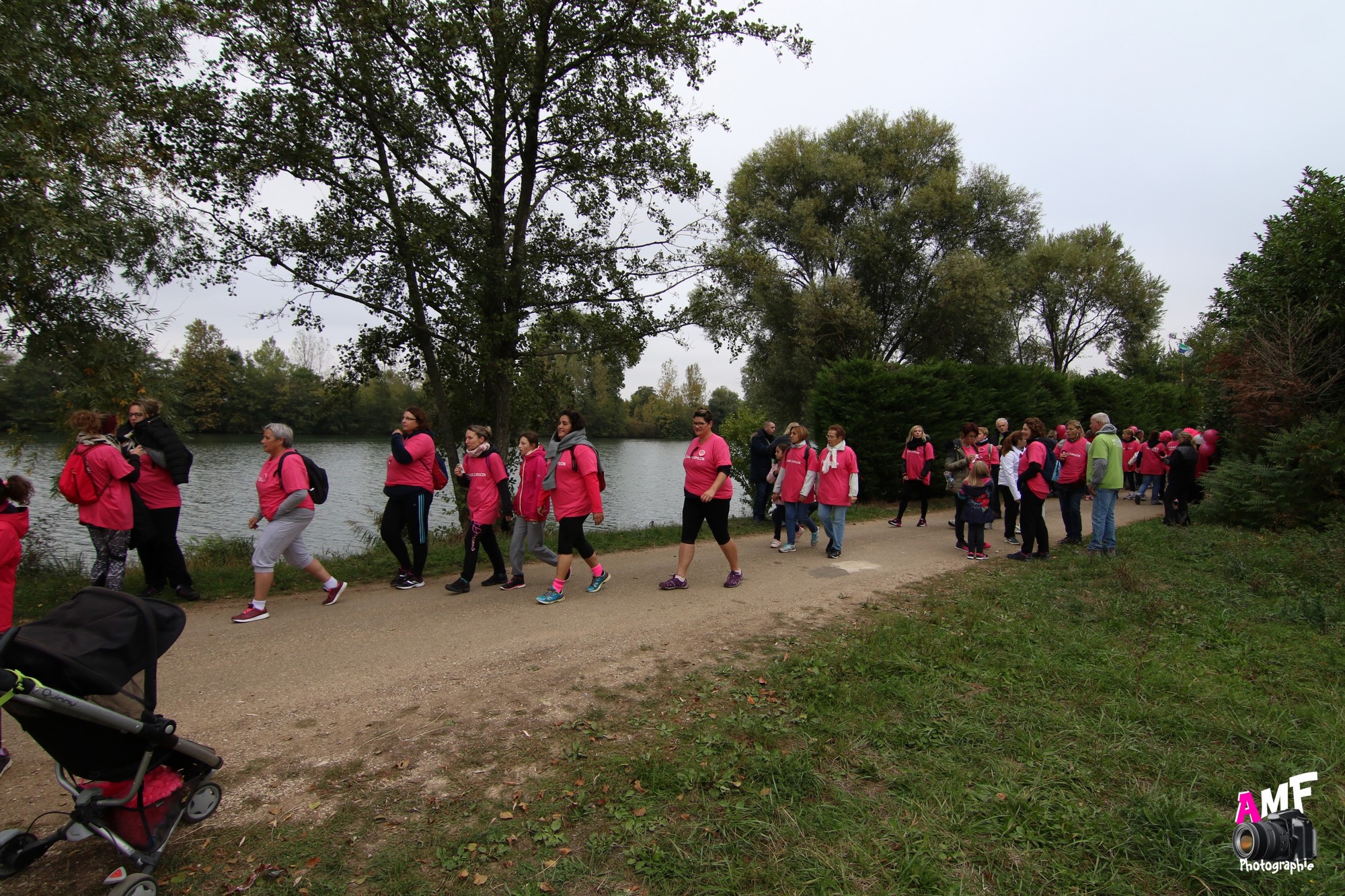 Rose Espoir 441