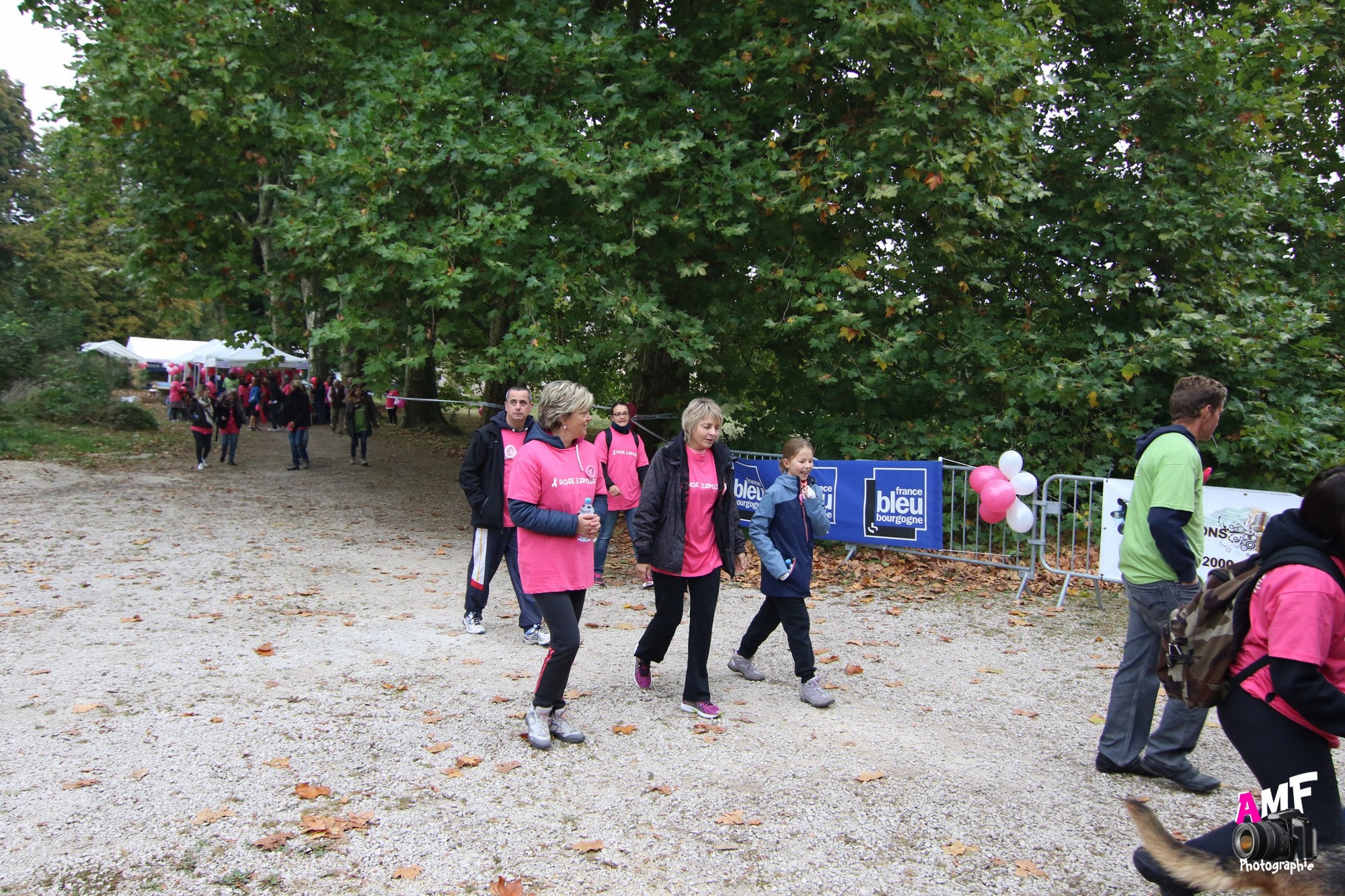 Rose Espoir 201