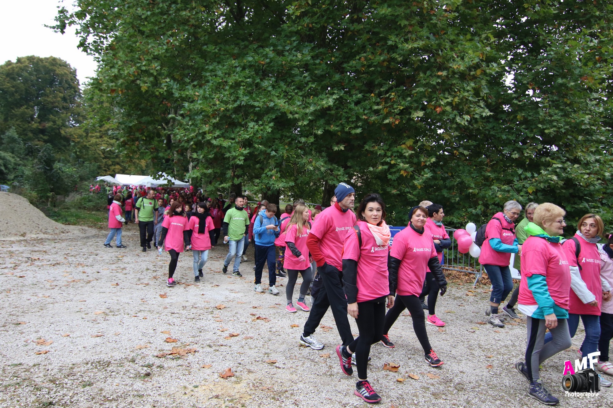 Rose Espoir 170