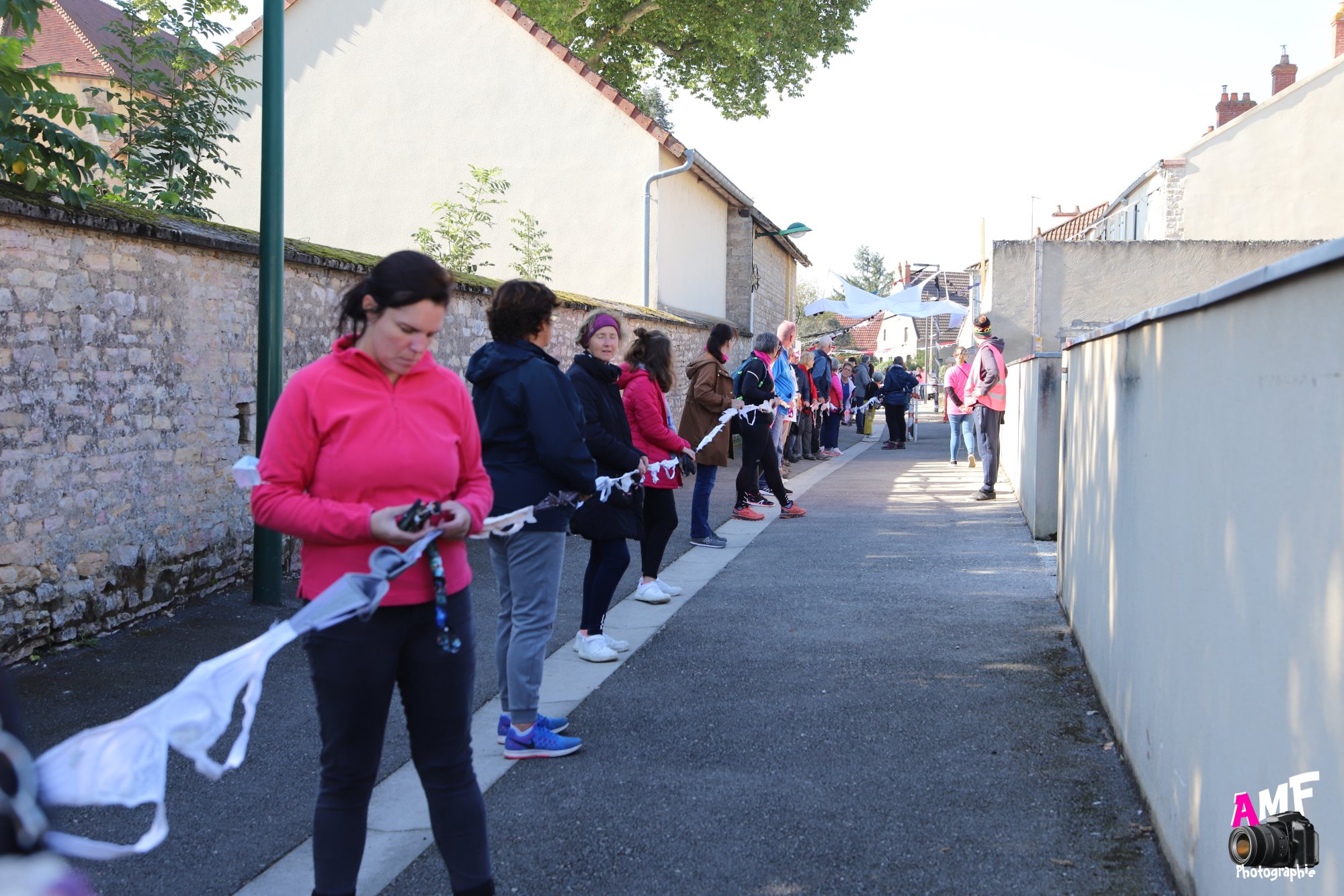 Rose Espoir (148)