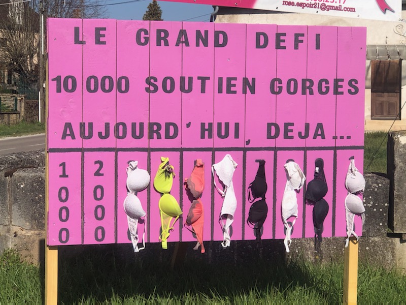 defi-rose-espoir (67)
