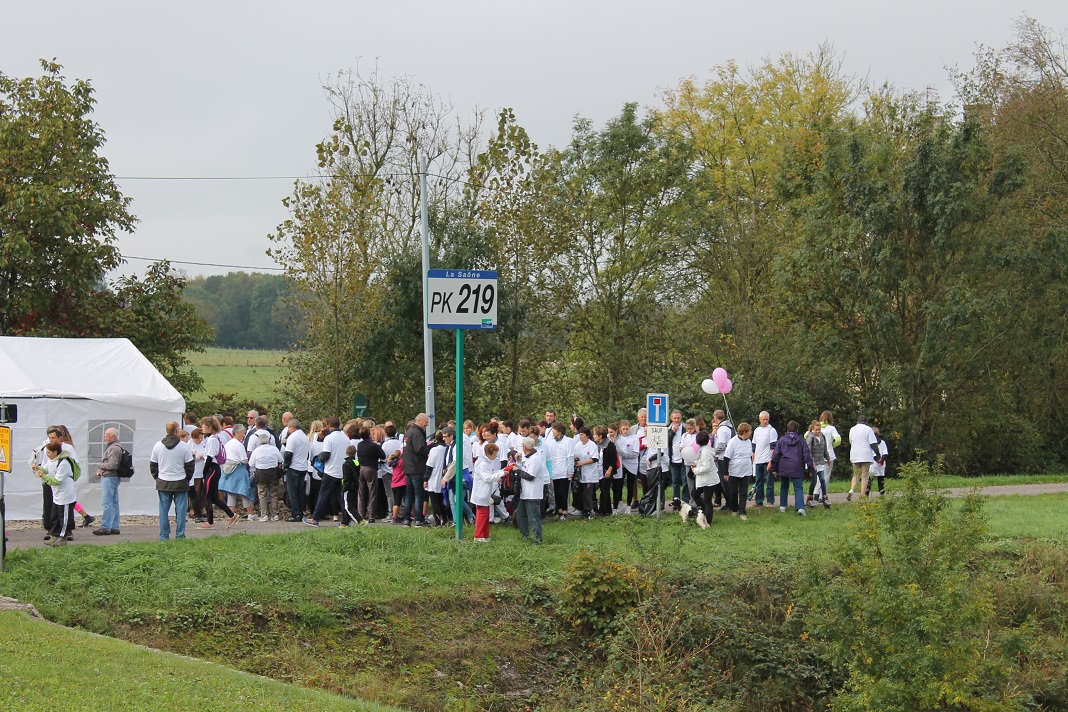 12.10.2014 octobre rose 186