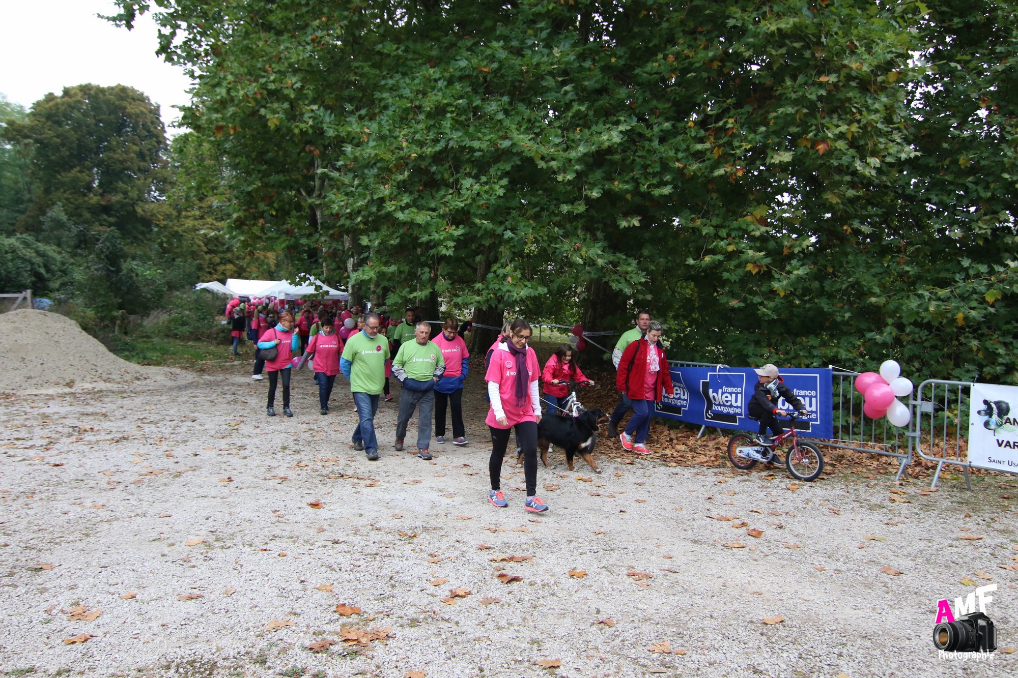 Rose Espoir 195