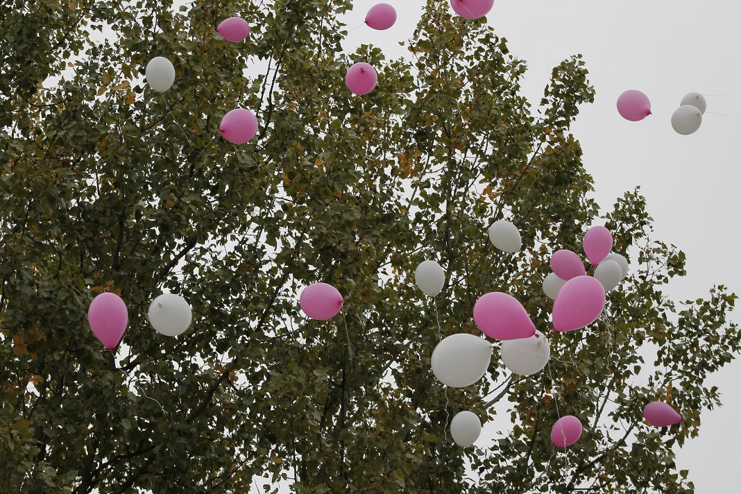 12.10.2014 octobre rose 343