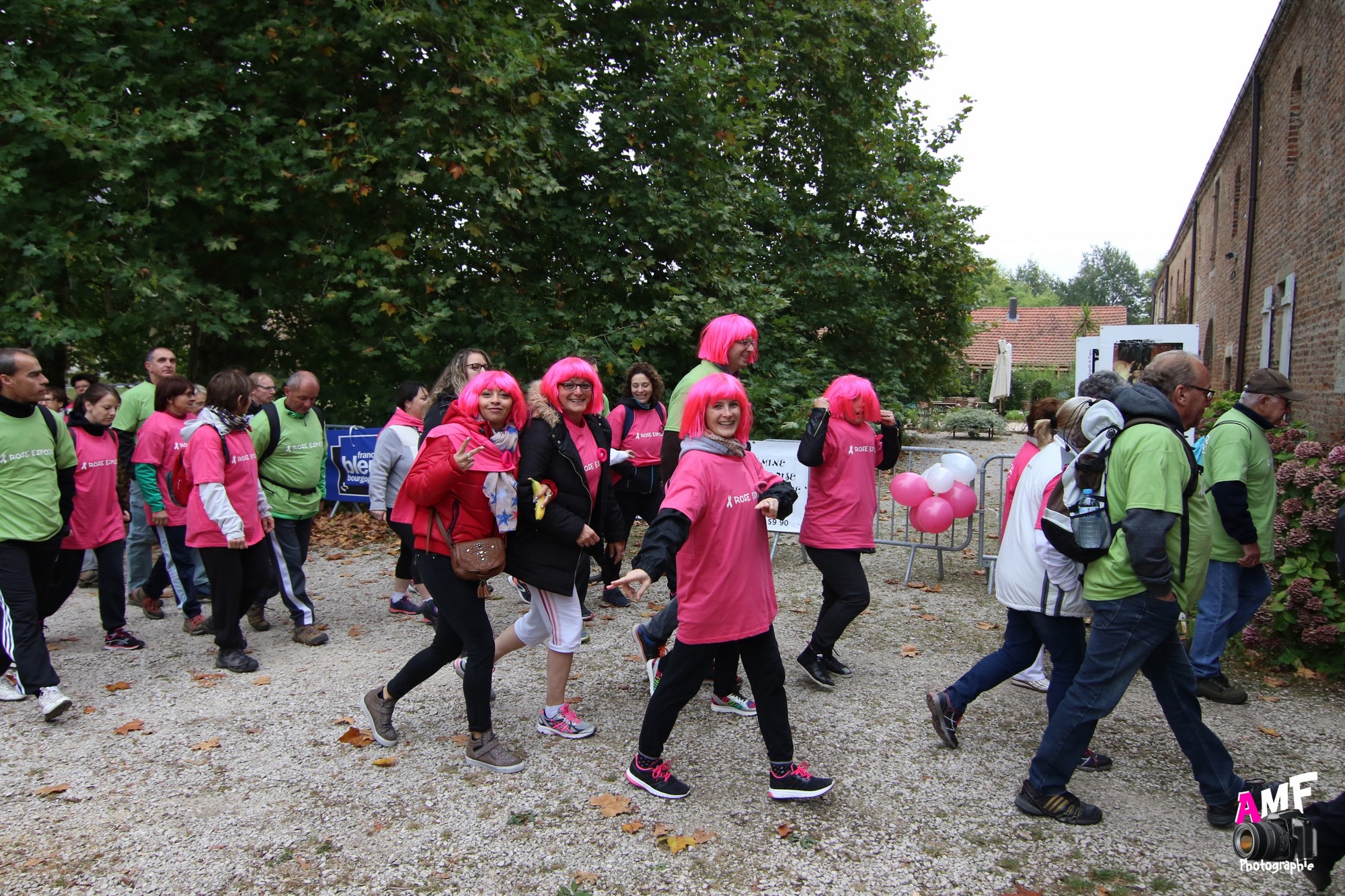 Rose Espoir 163