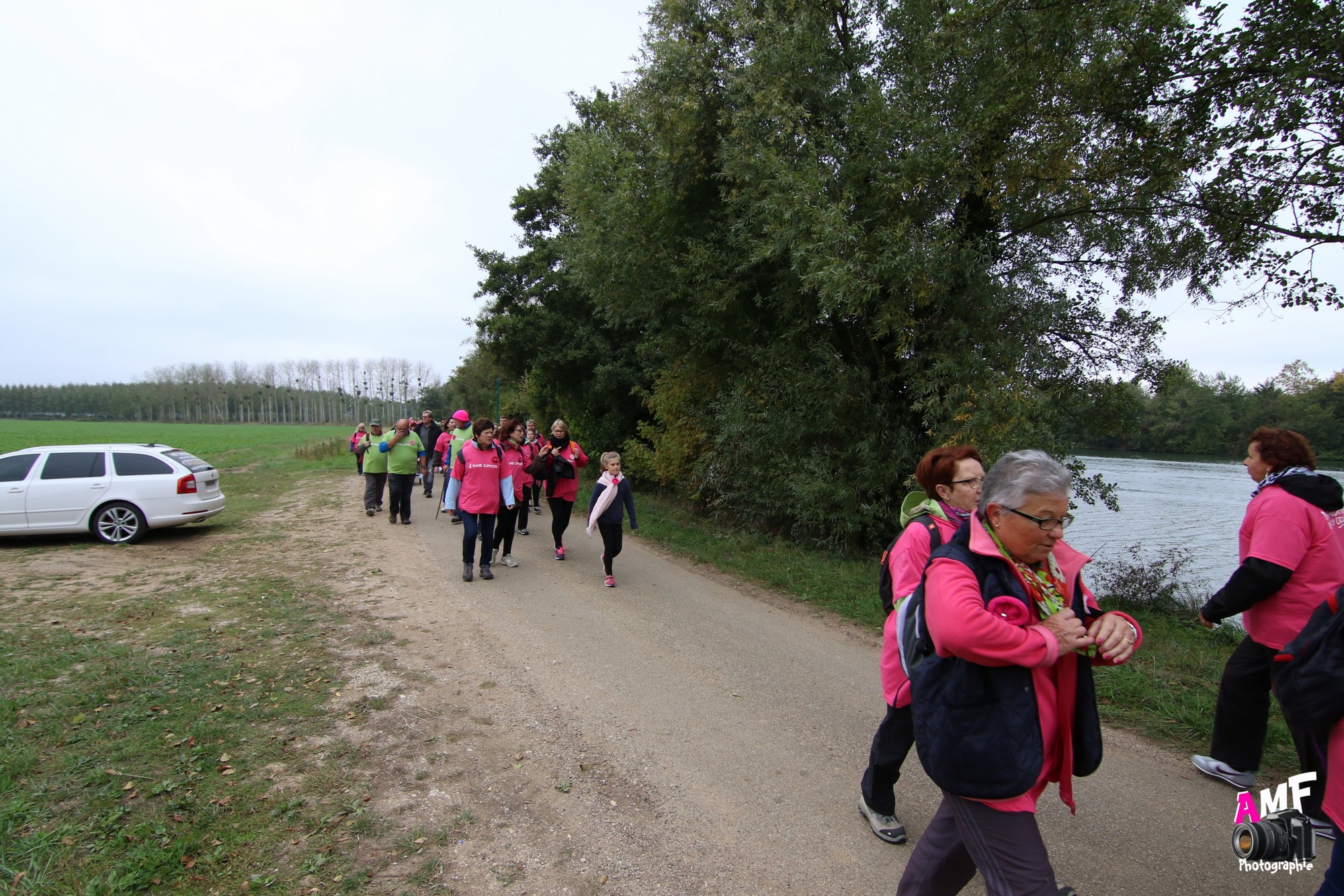 Rose Espoir 428