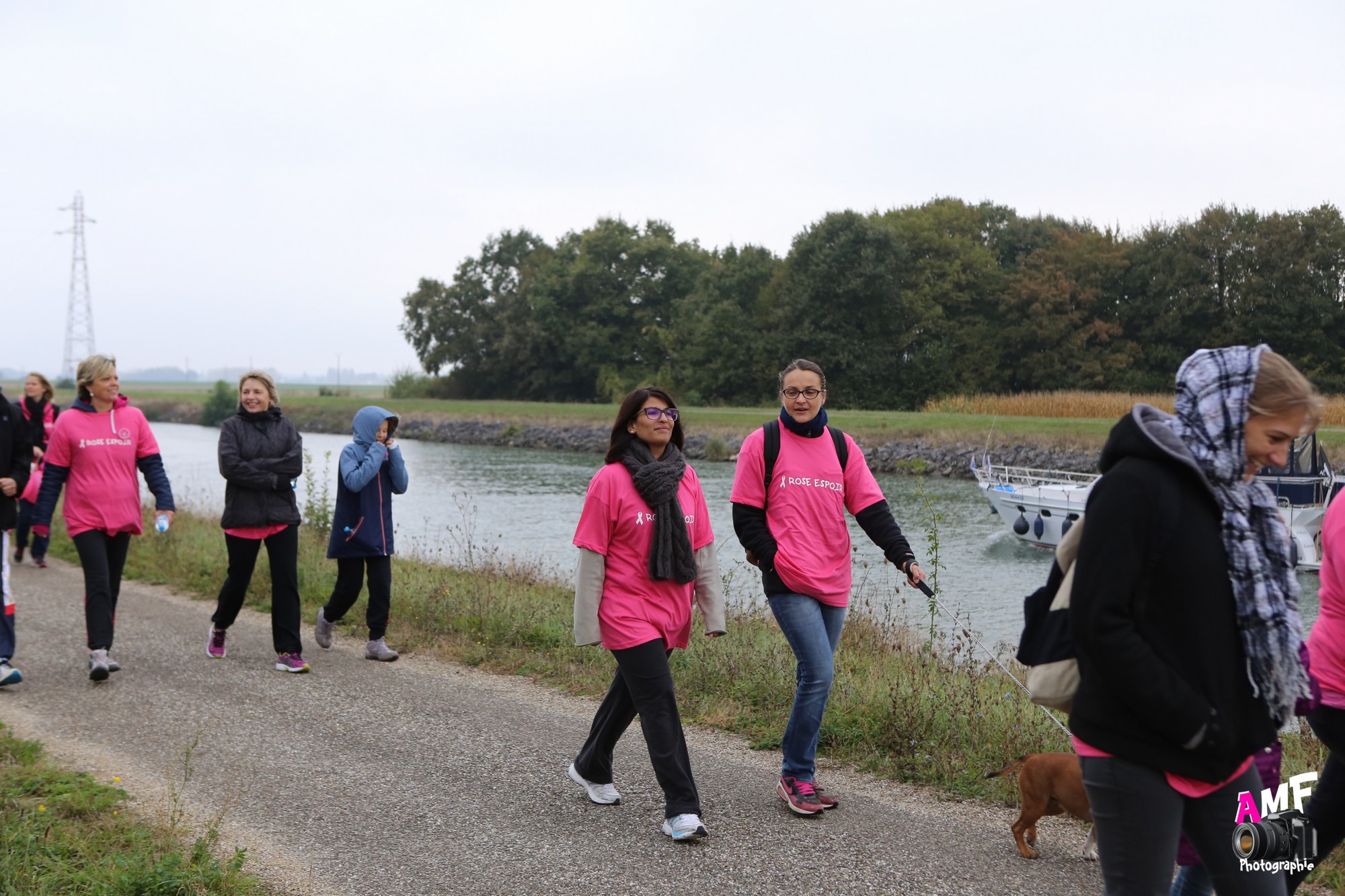 Rose Espoir 373