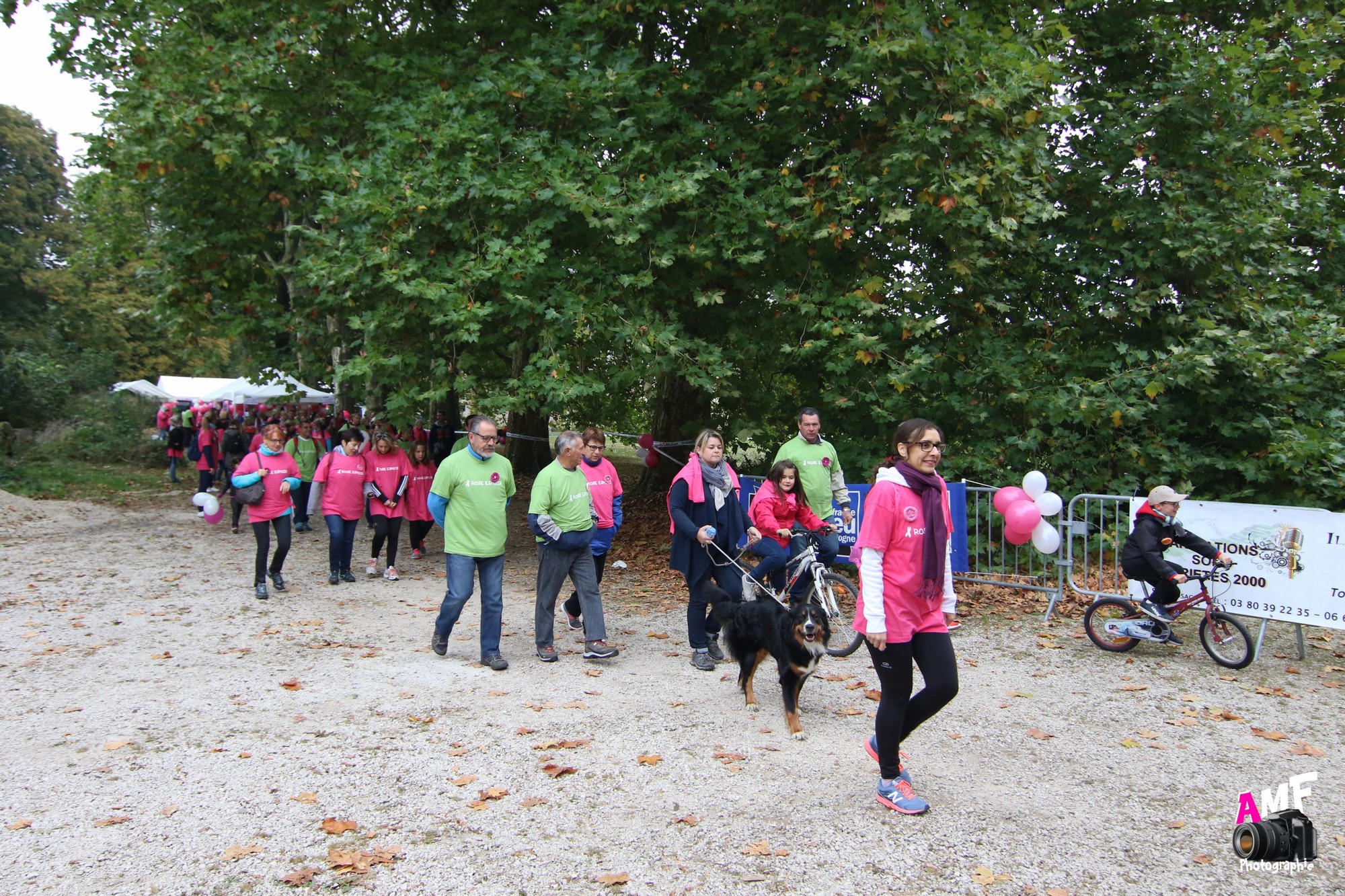 Rose Espoir 196