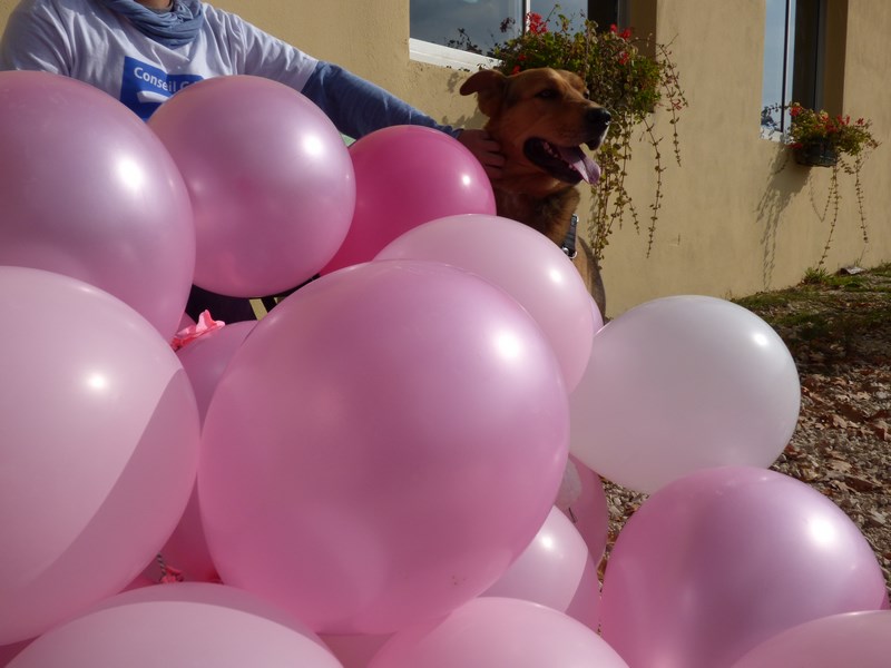 marche-brazey-2015 (223)
