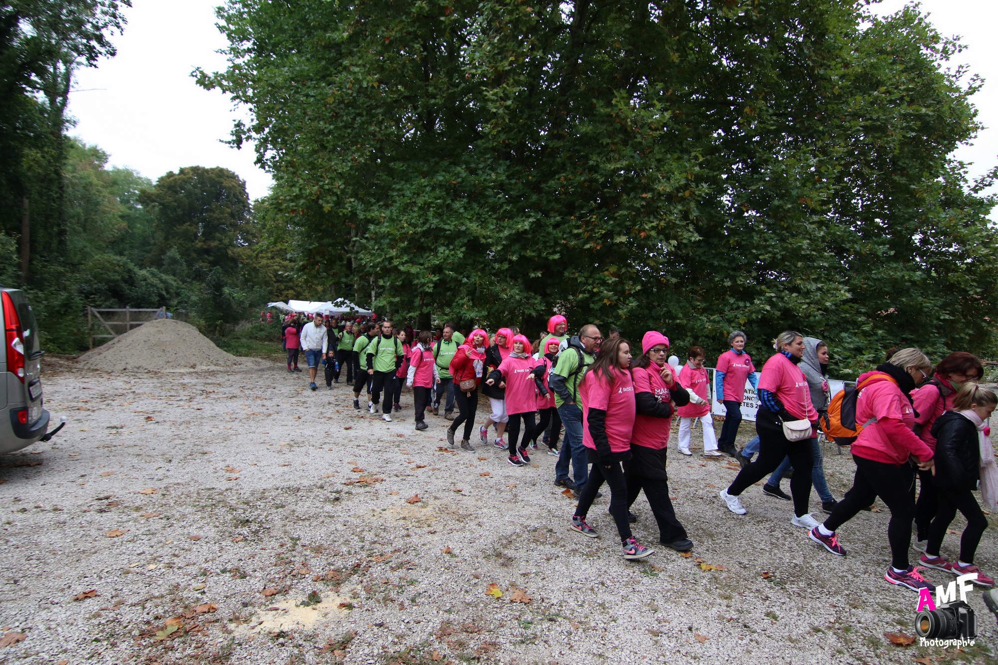 Rose Espoir 161