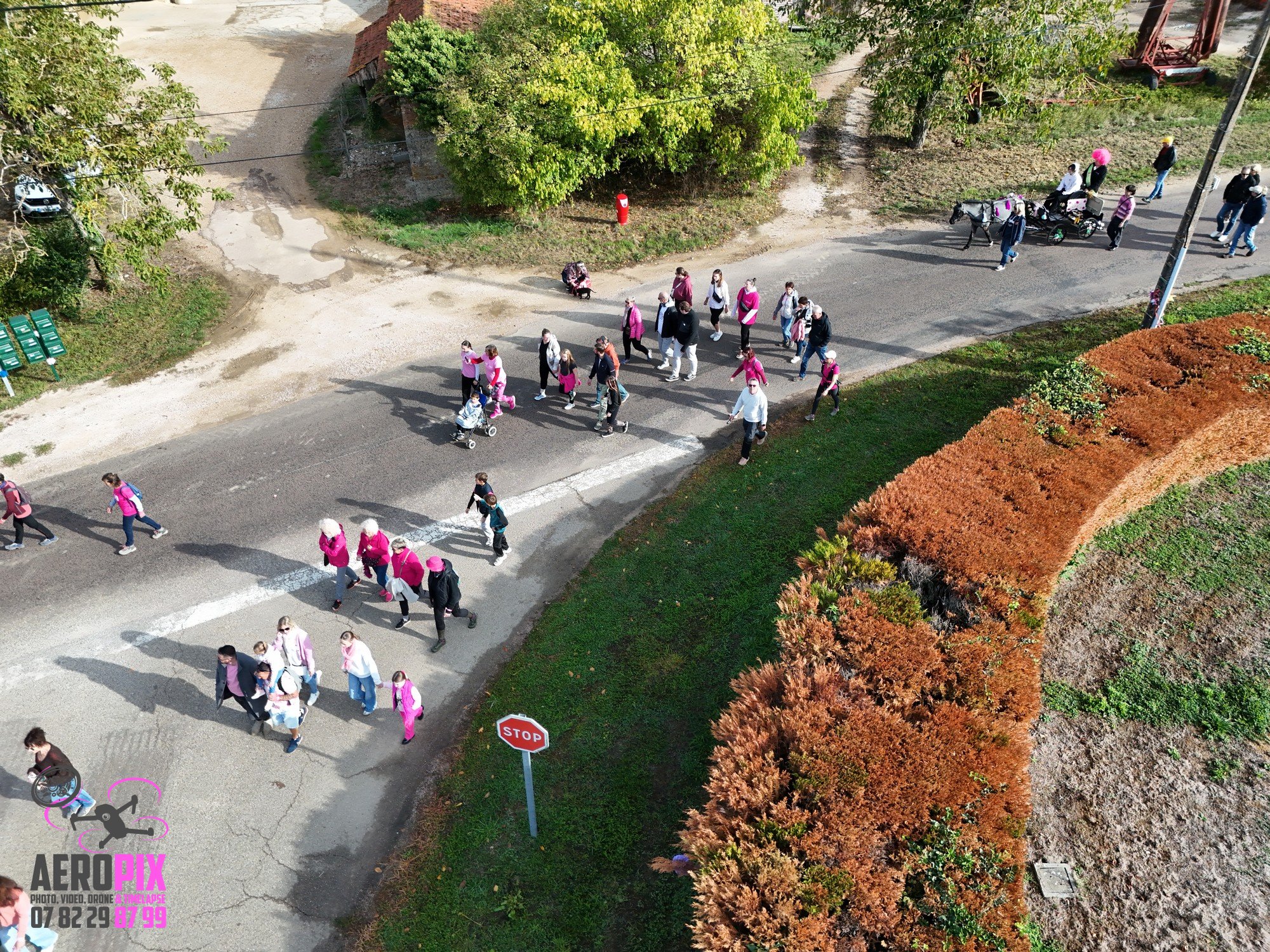 rose-espoir-marche-2026 (84)