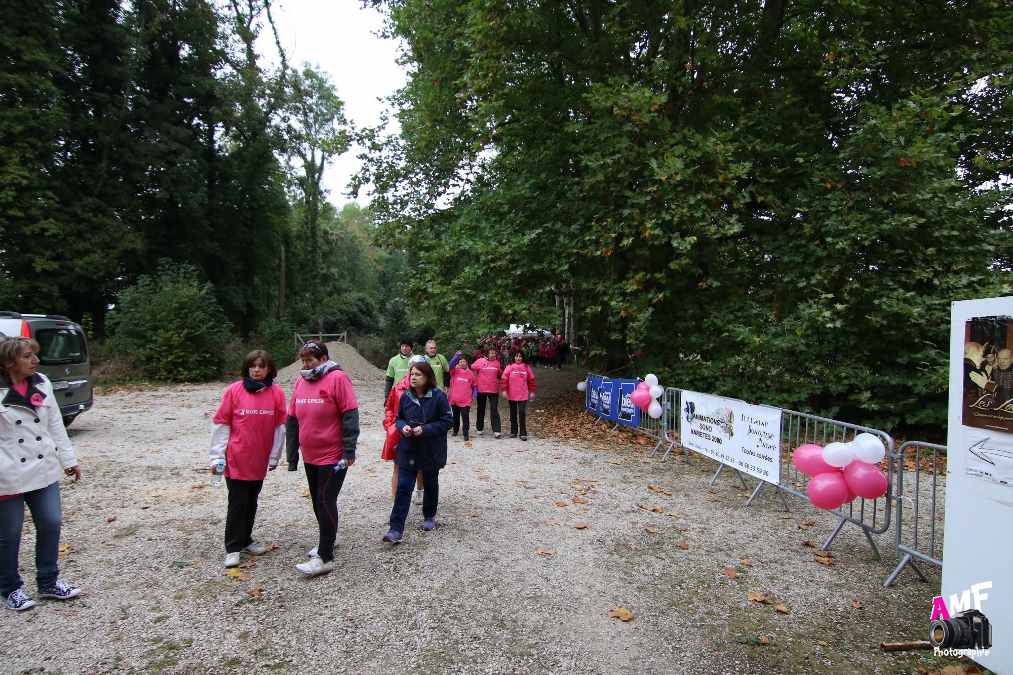 Rose Espoir 143