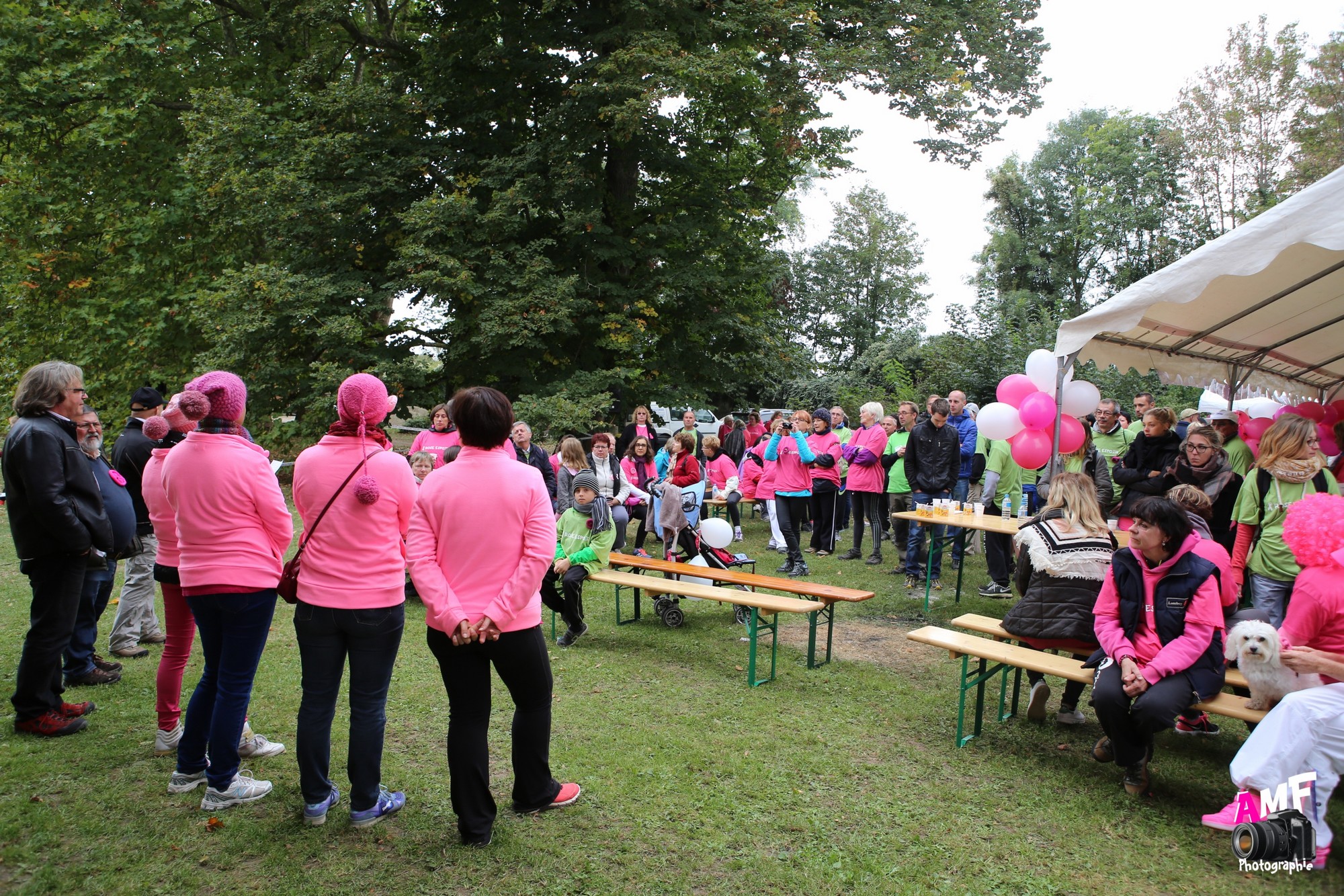 Rose Espoir 500