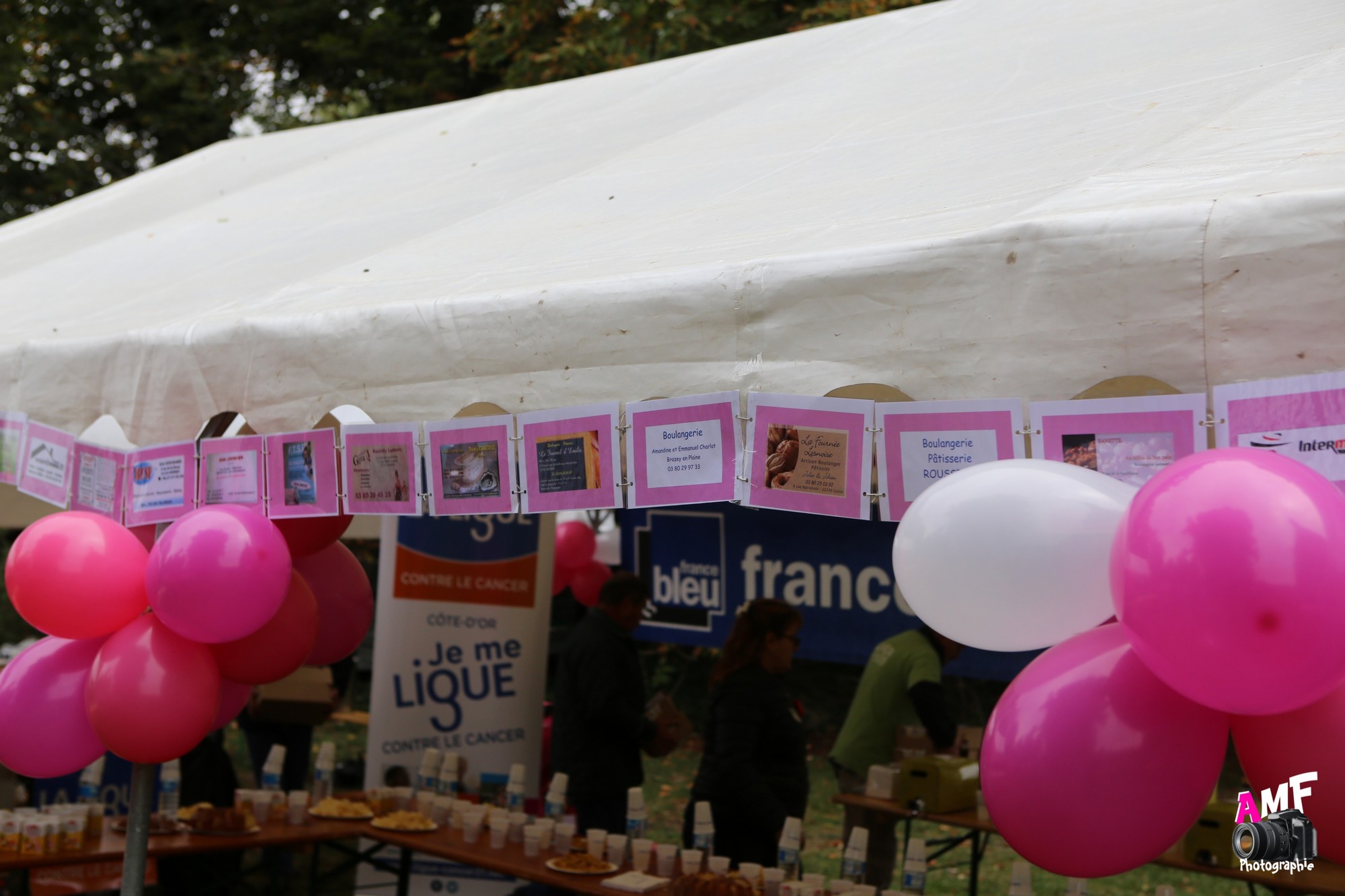 Rose Espoir 458
