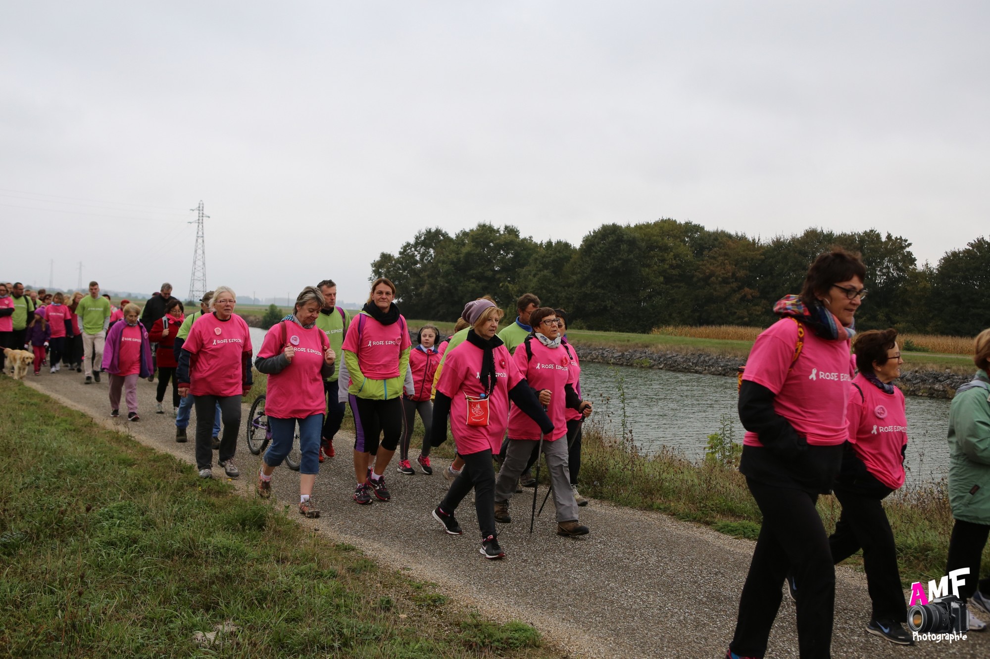 Rose Espoir 270