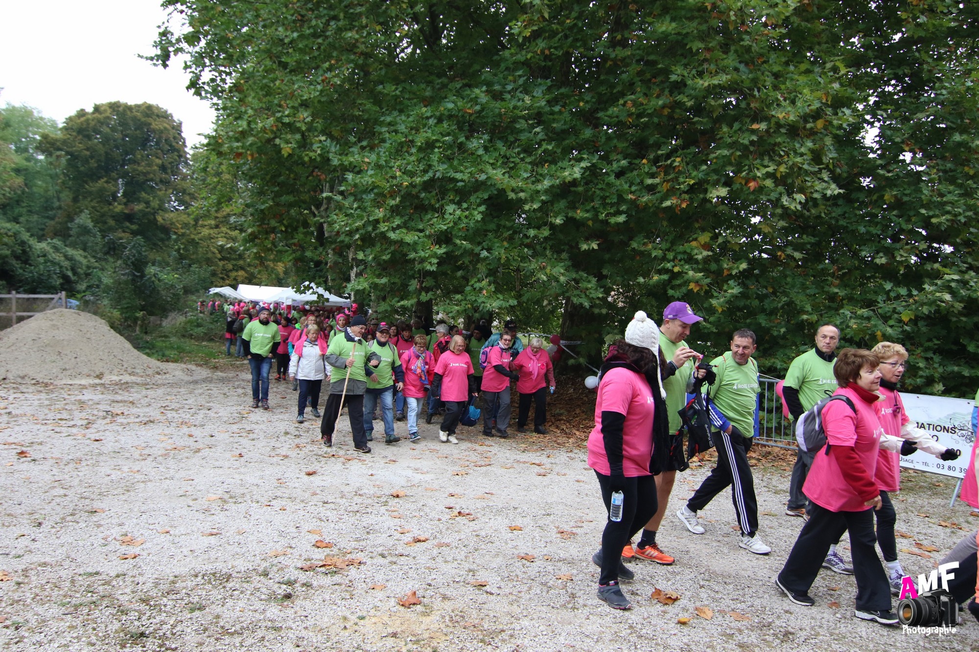 Rose Espoir 167