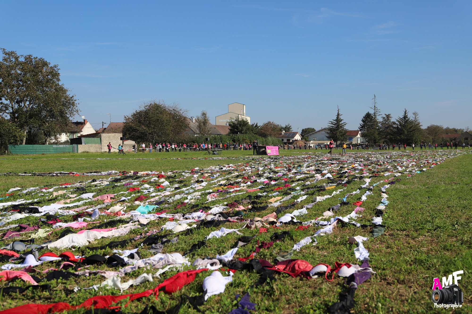Rose Espoir (161)