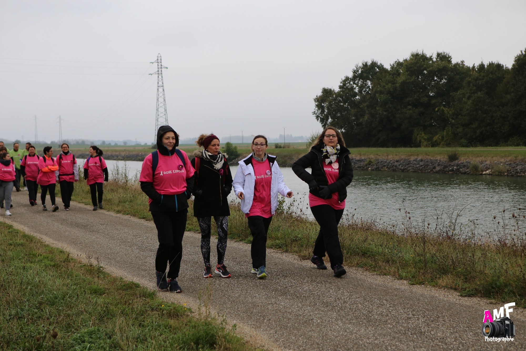 Rose Espoir 240