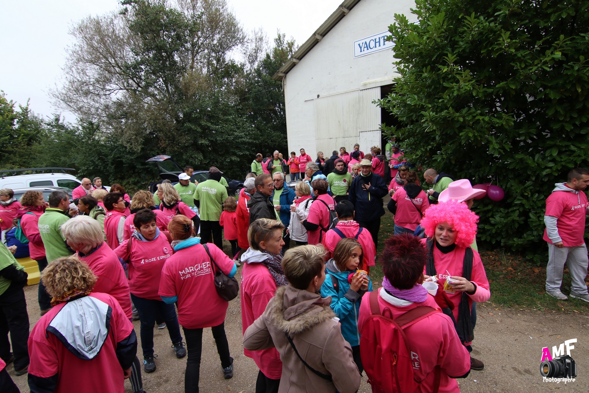 Rose Espoir 443