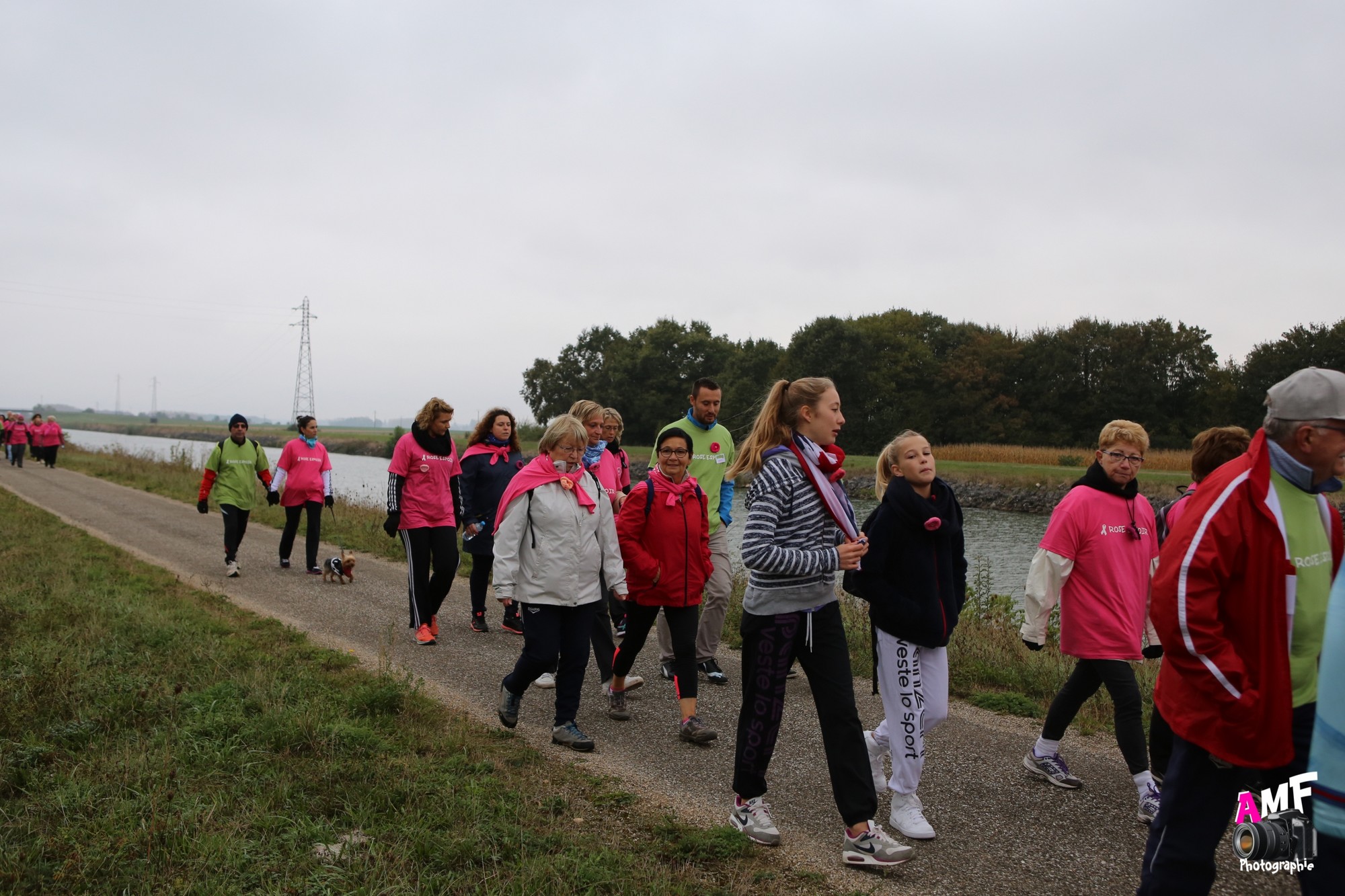 Rose Espoir 283