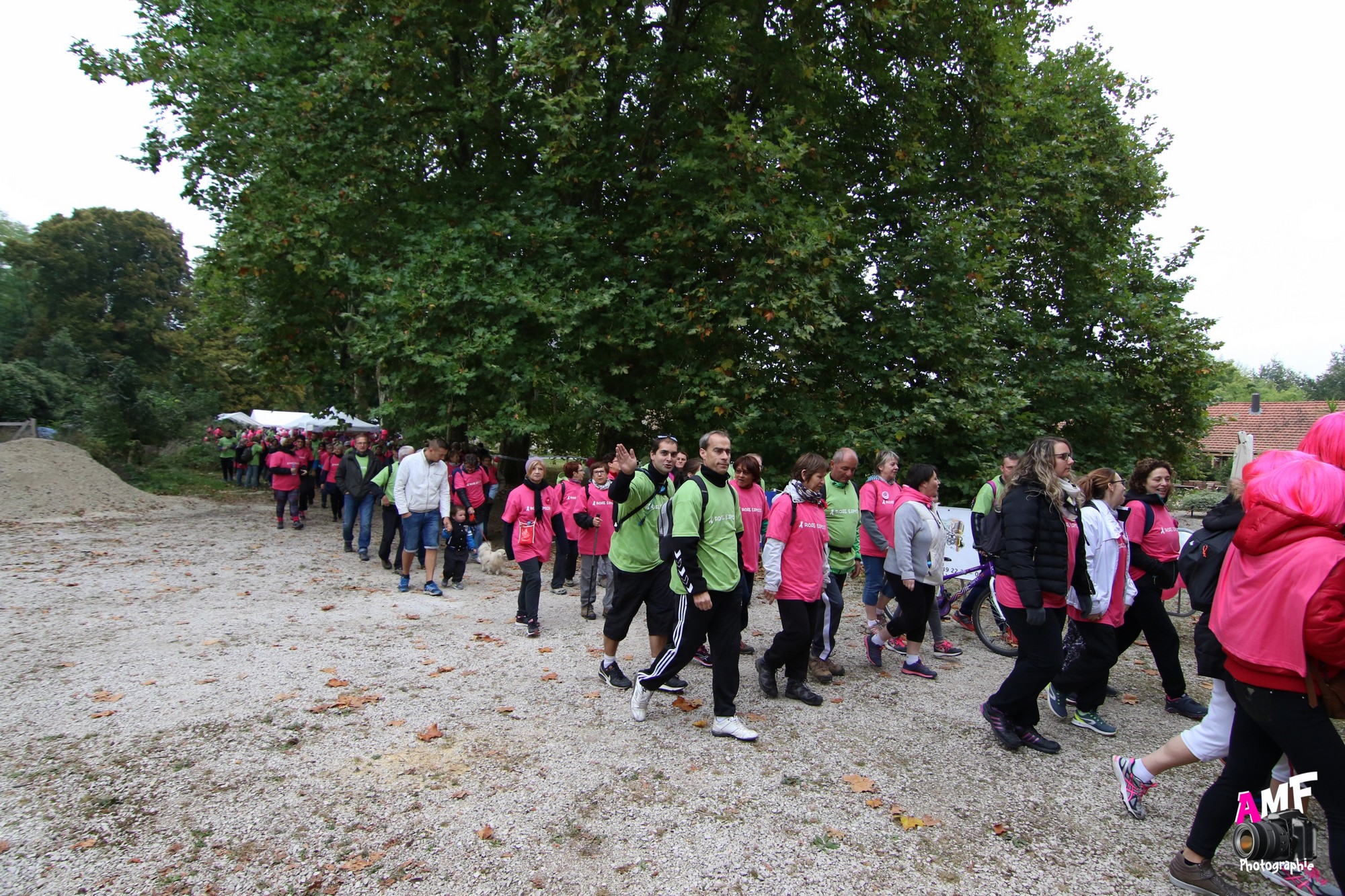 Rose Espoir 164