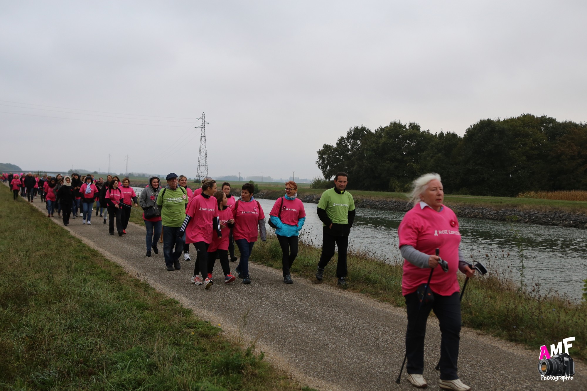 Rose Espoir 357