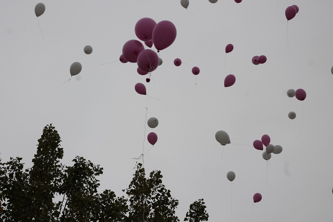 12.10.2014 octobre rose 345