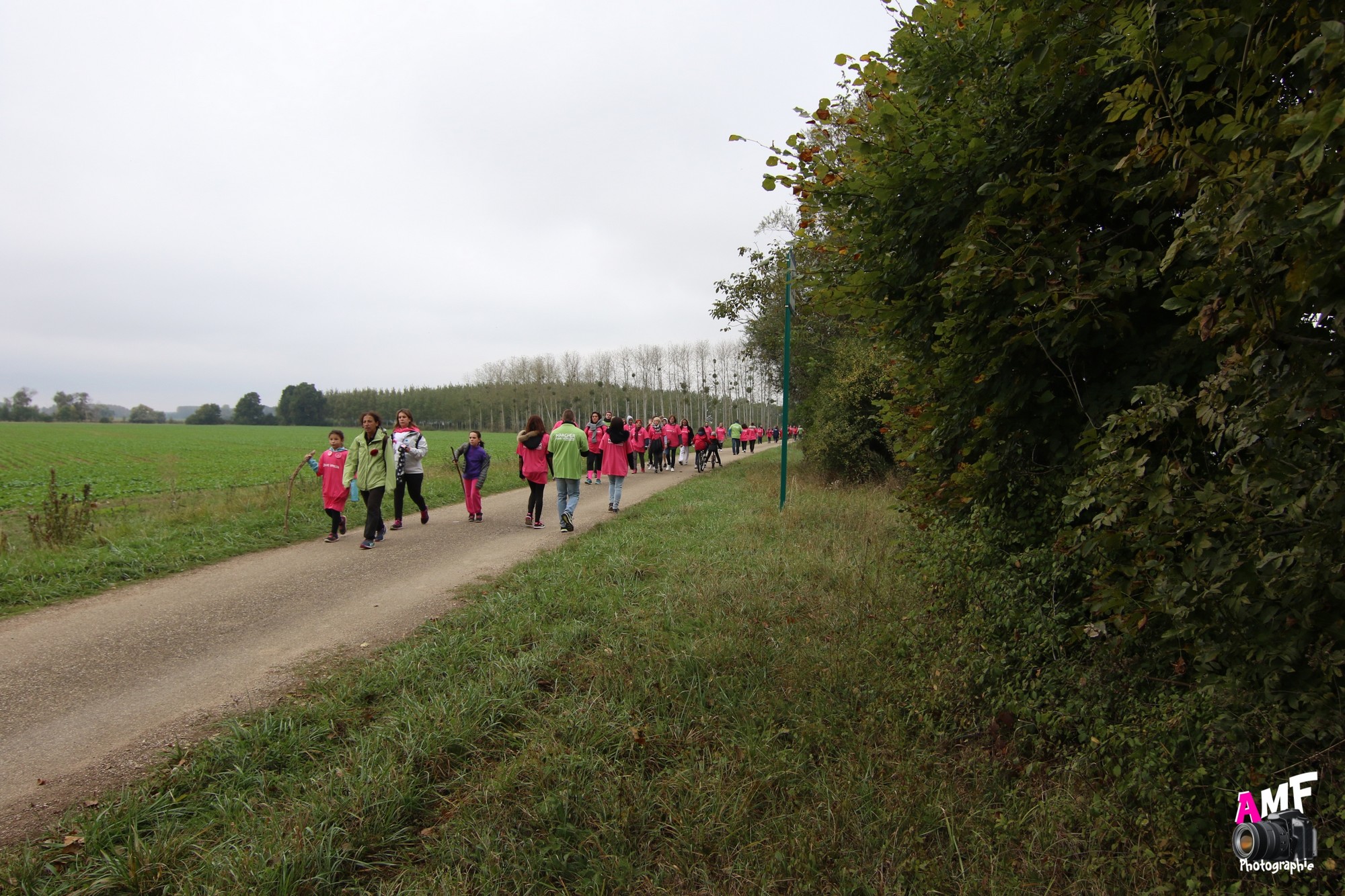 Rose Espoir 430