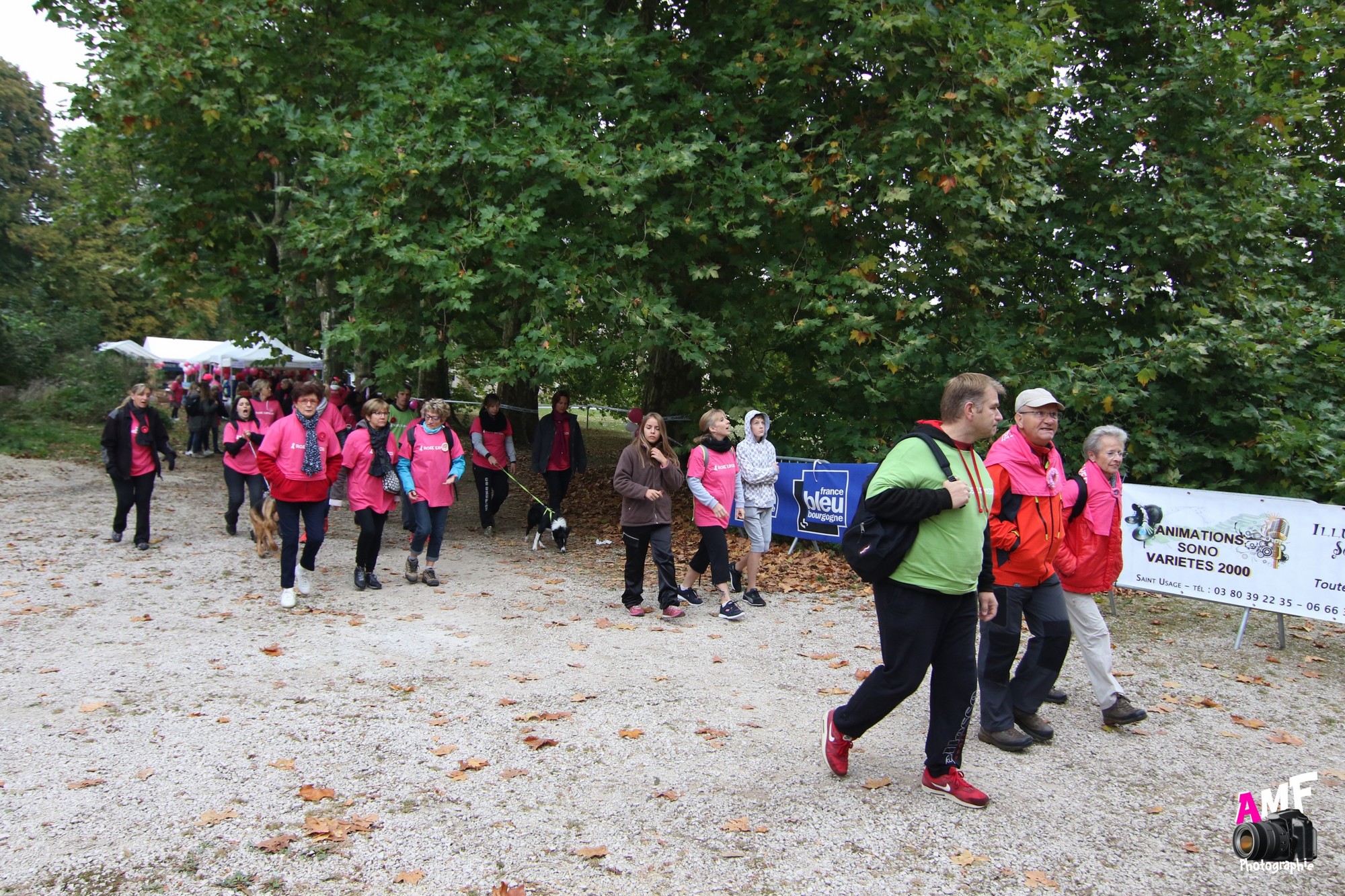 Rose Espoir 199
