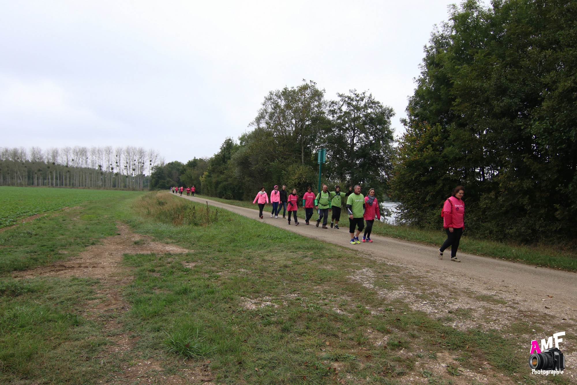 Rose Espoir 410