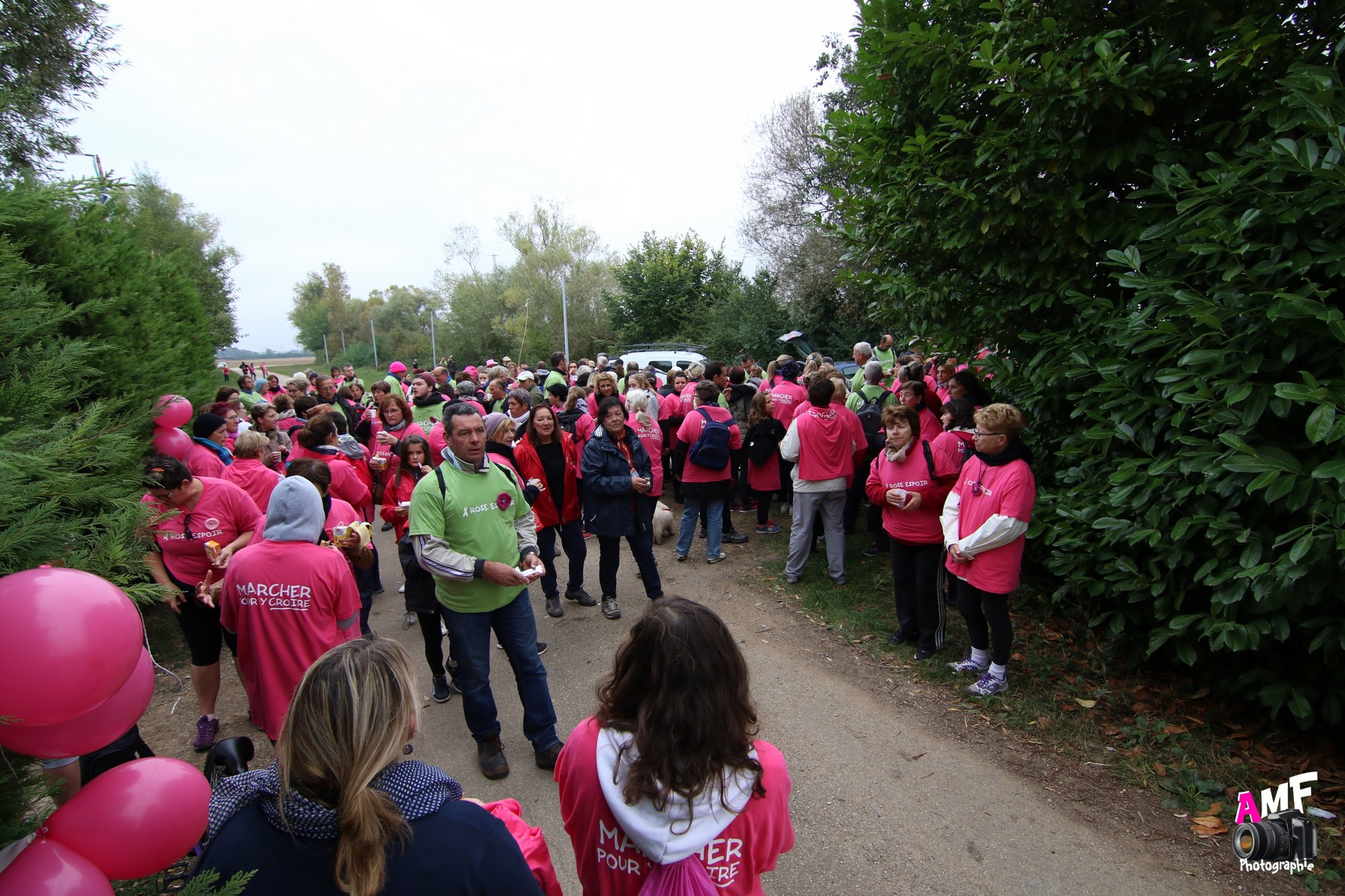 Rose Espoir 440