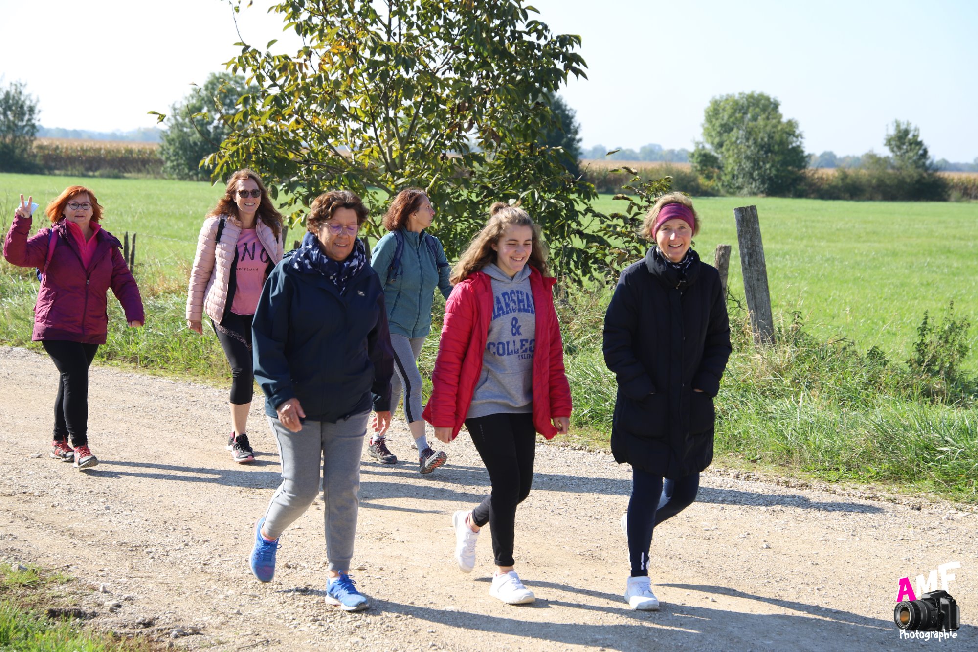 Rose Espoir (121)