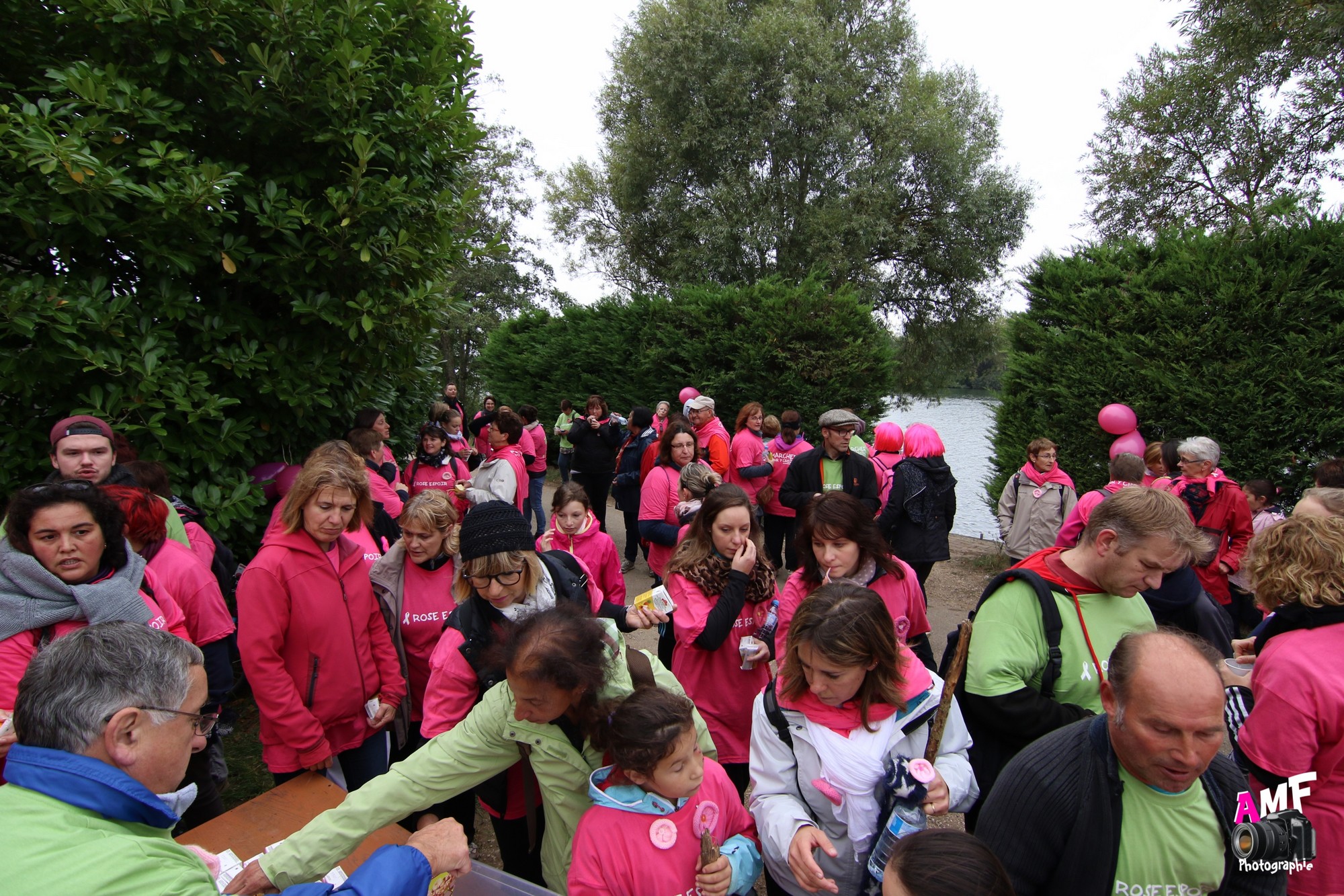 Rose Espoir 437