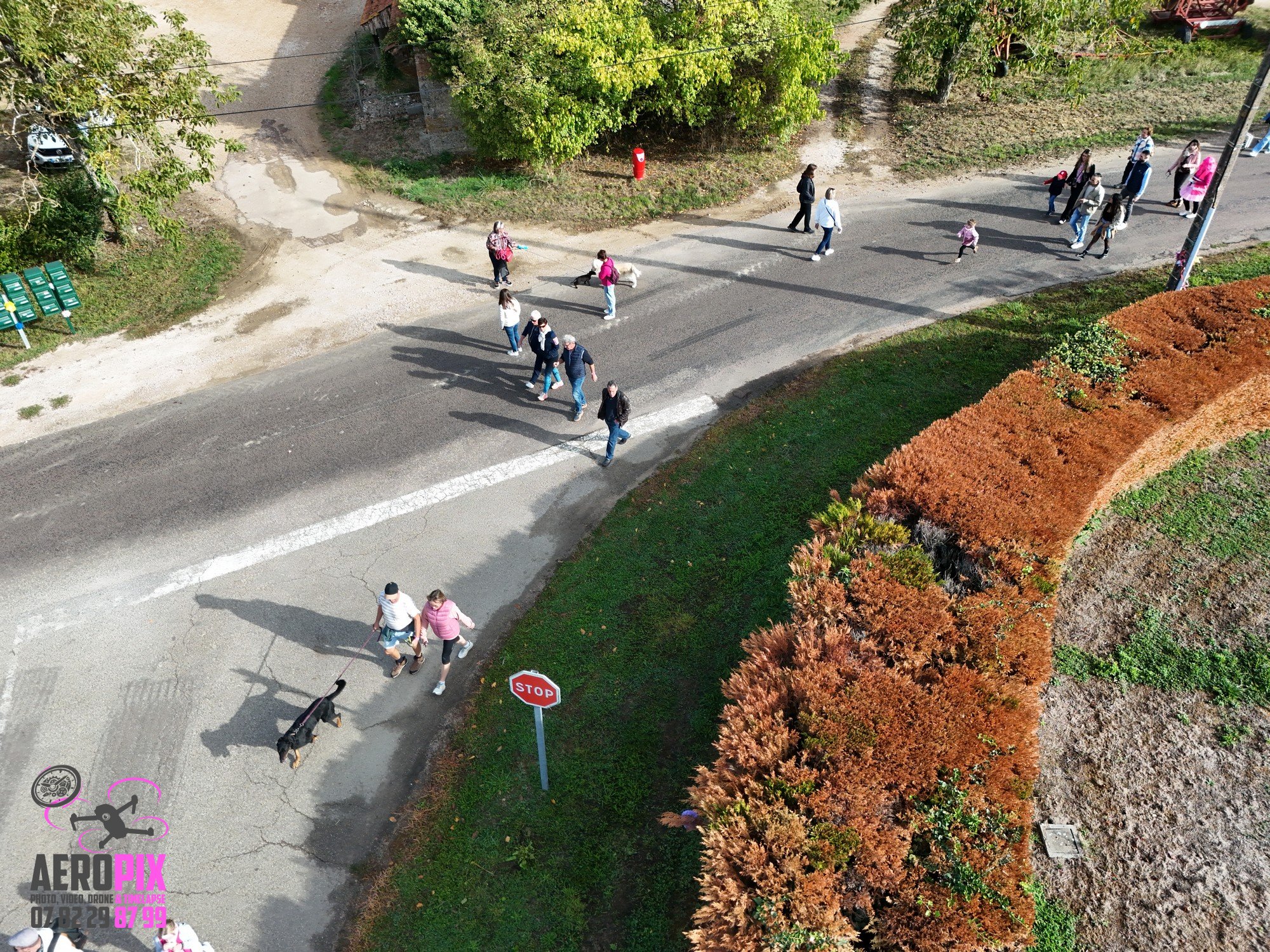 rose-espoir-marche-2026 (87)