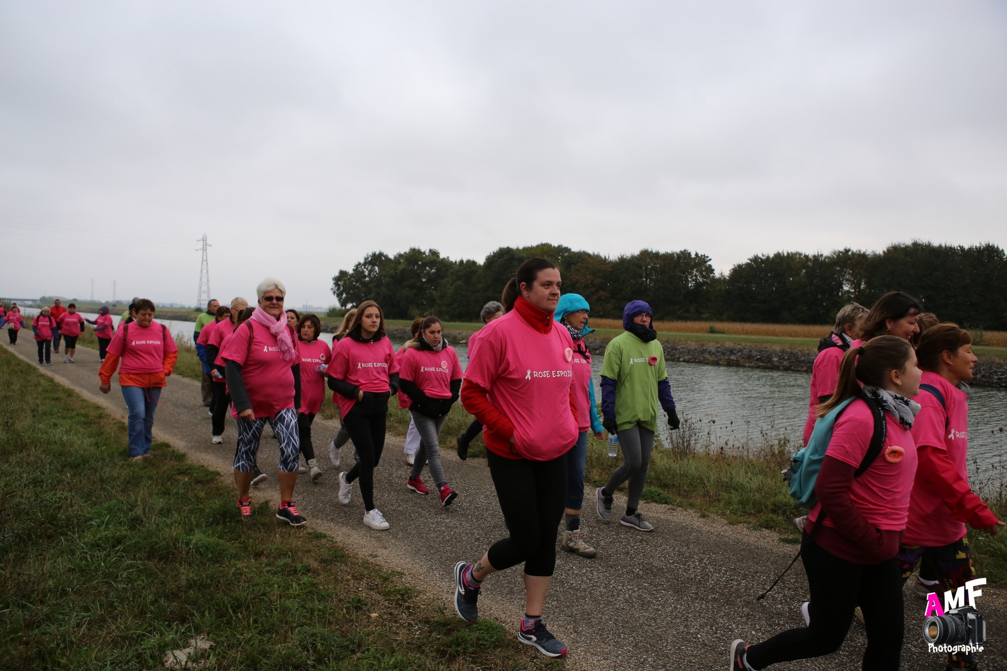 Rose Espoir 300