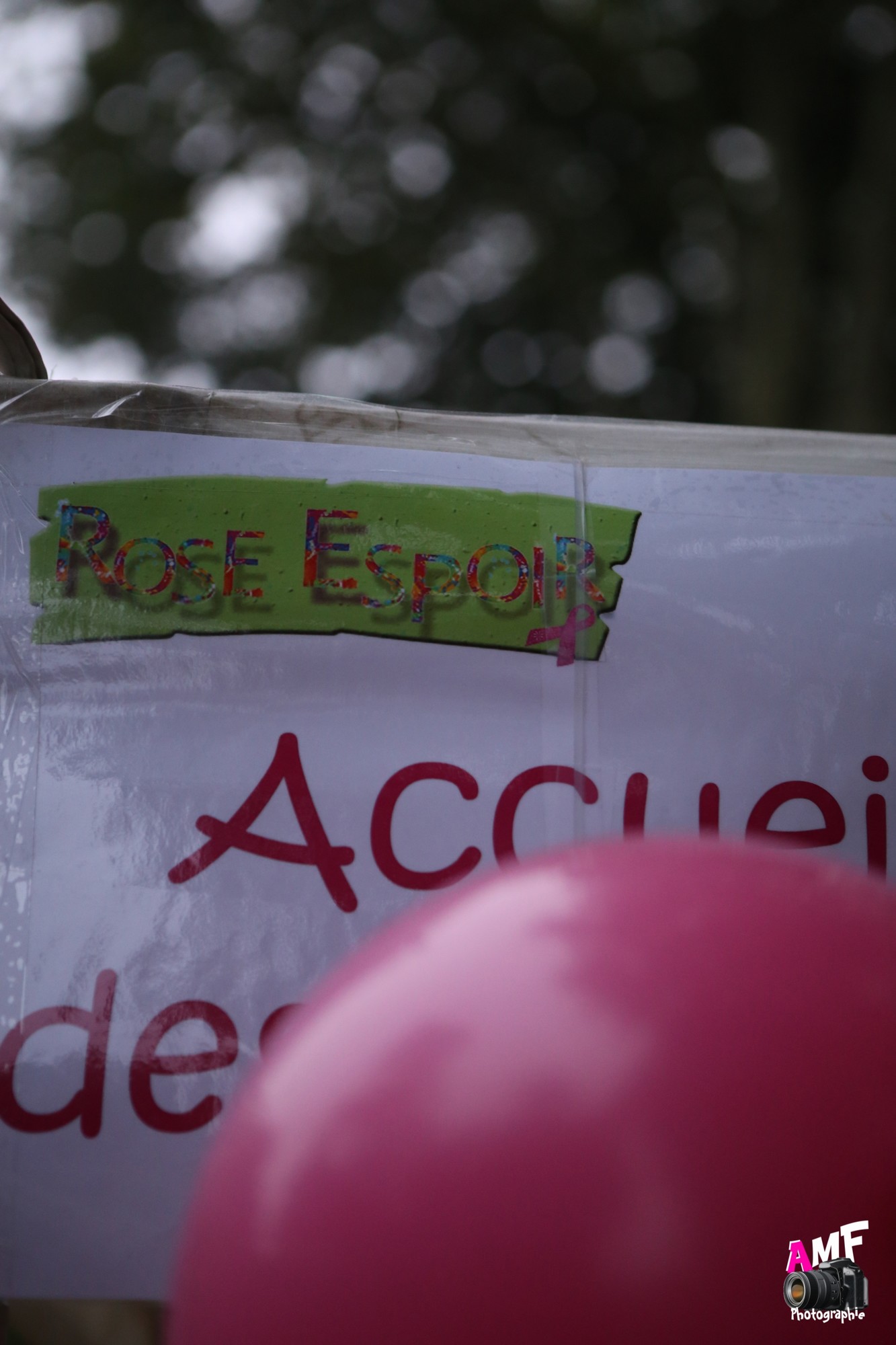 Rose Espoir 019