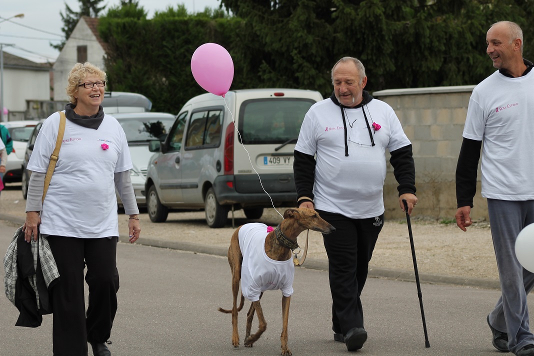 12.10.2014 octobre rose 256