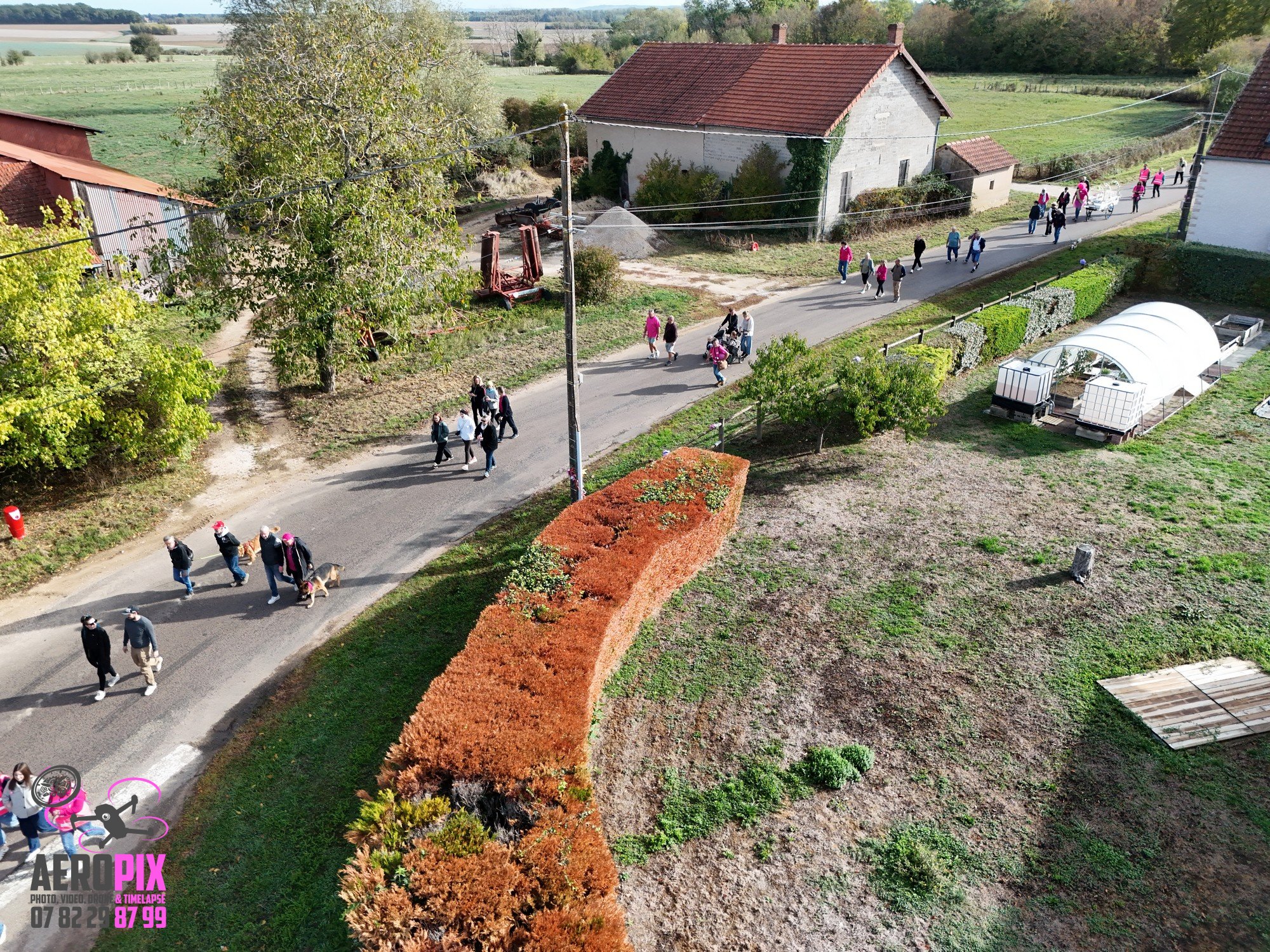rose-espoir-marche-2026 (91)