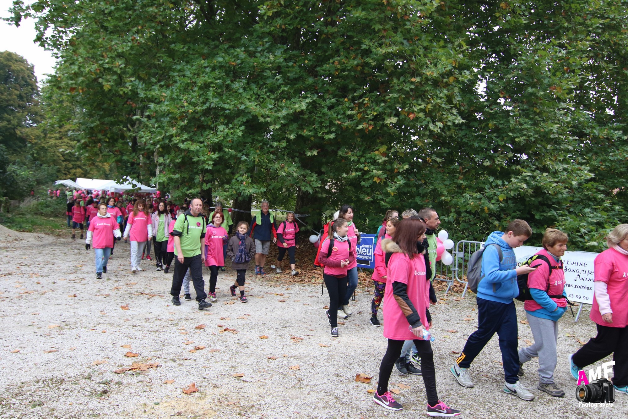 Rose Espoir 171