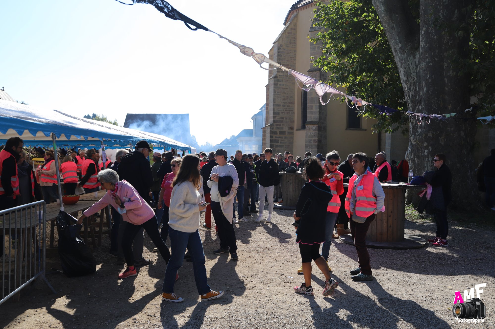 Rose Espoir (157)