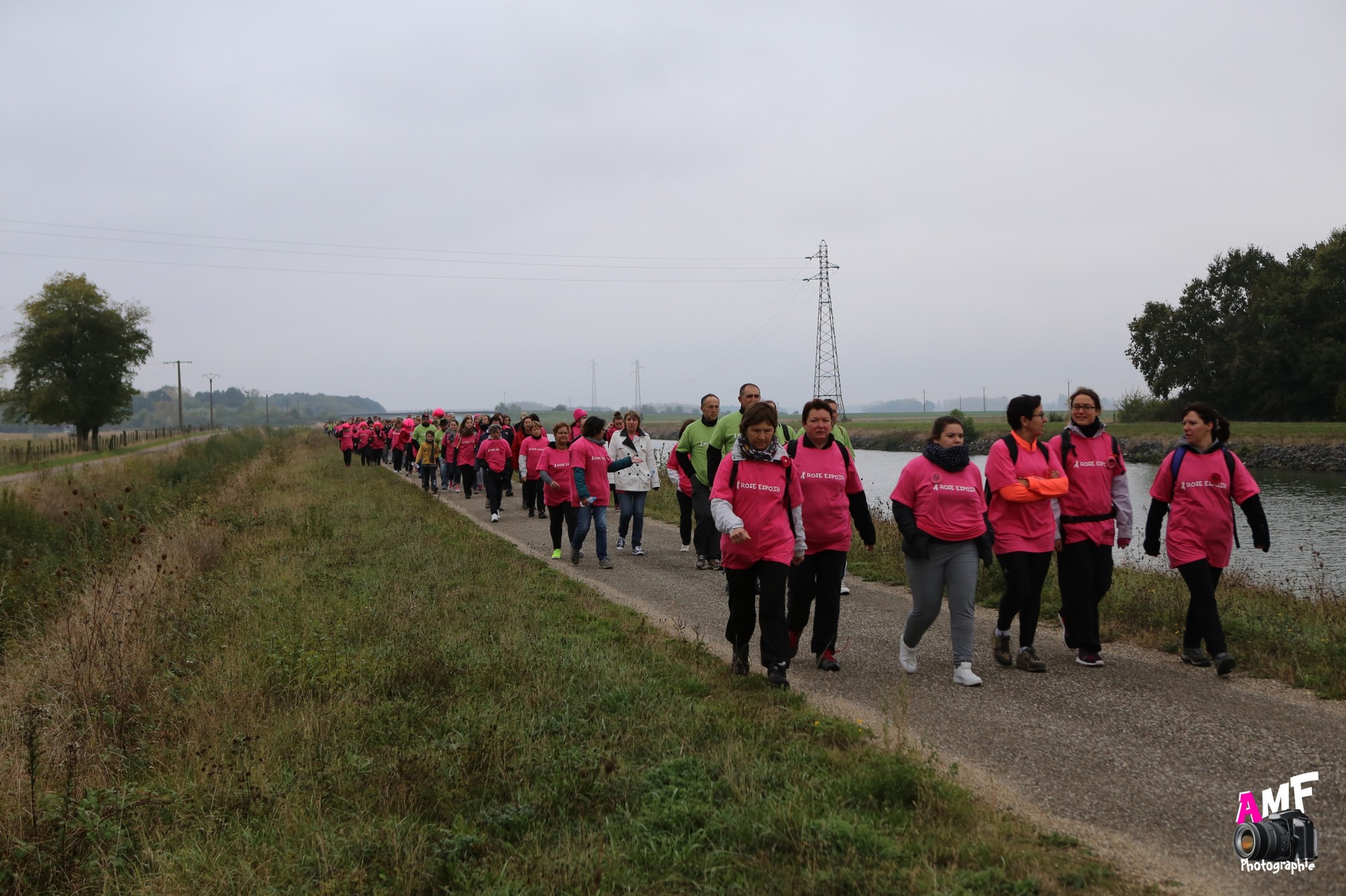 Rose Espoir 242