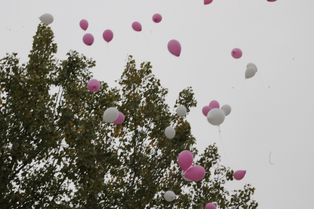 12.10.2014 octobre rose 344