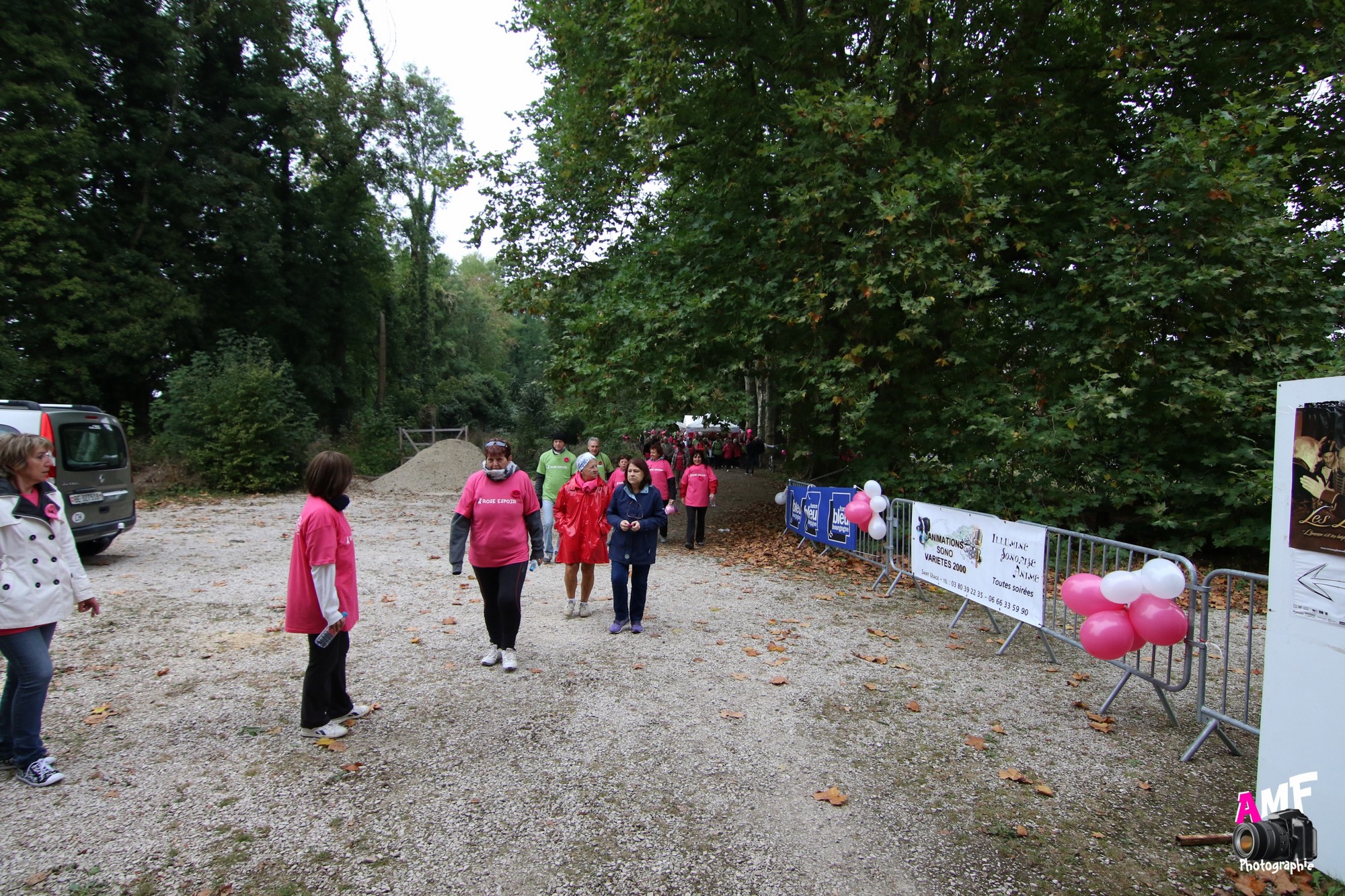 Rose Espoir 142