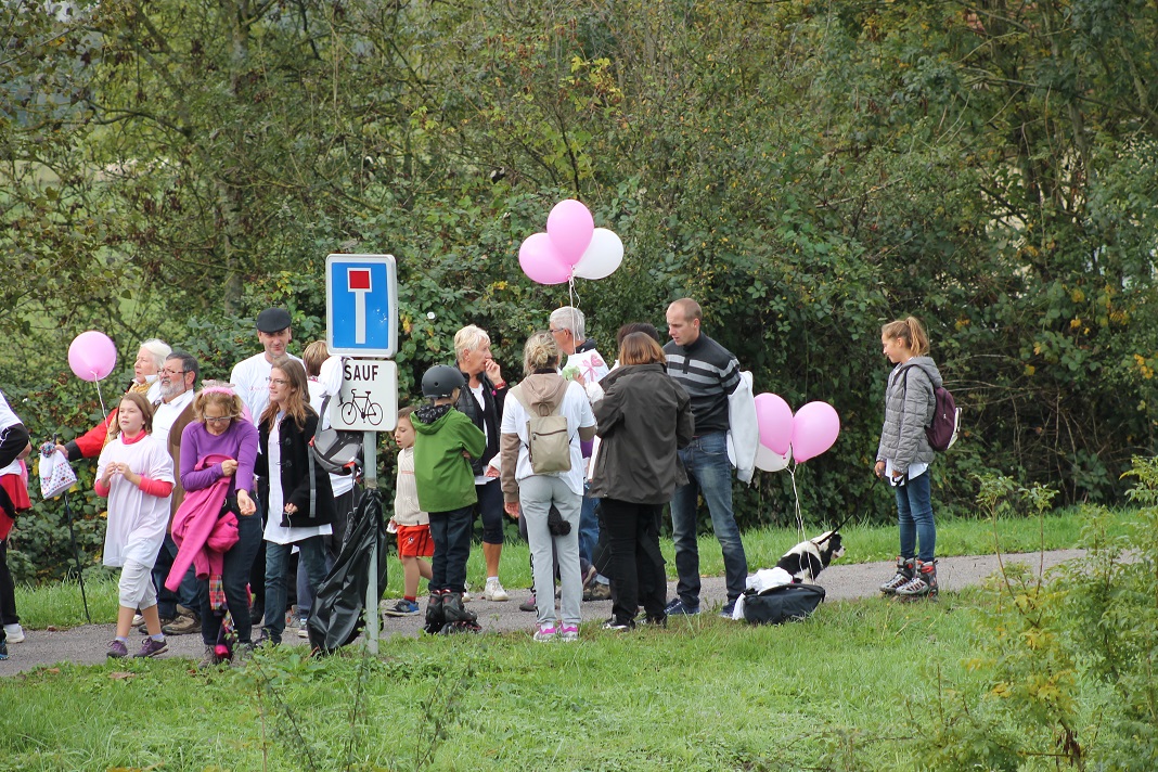 12.10.2014 octobre rose 192