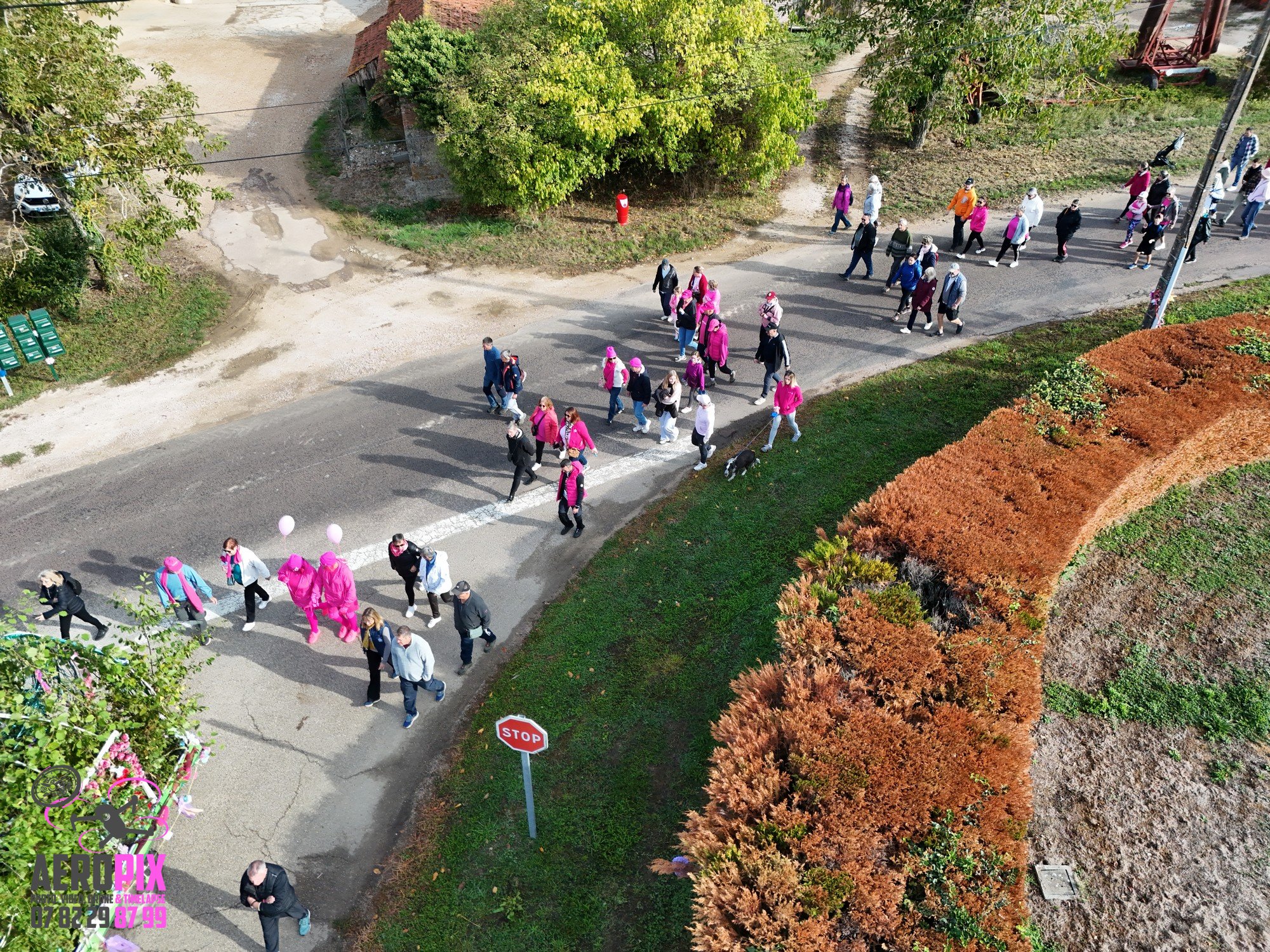 rose-espoir-marche-2026 (74)